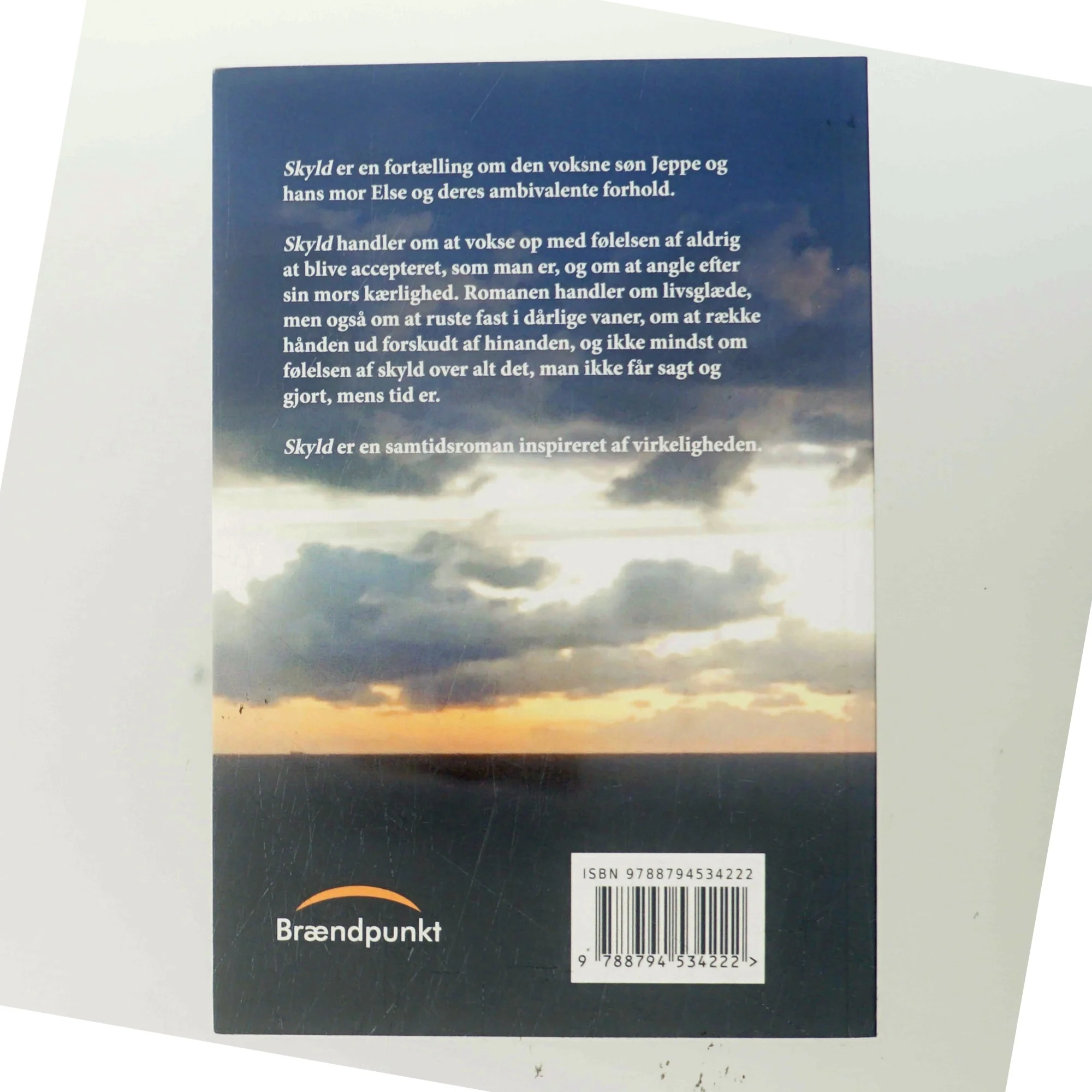 Skyld : roman af Mariann Richterhausen (f. 1980) (Bog)