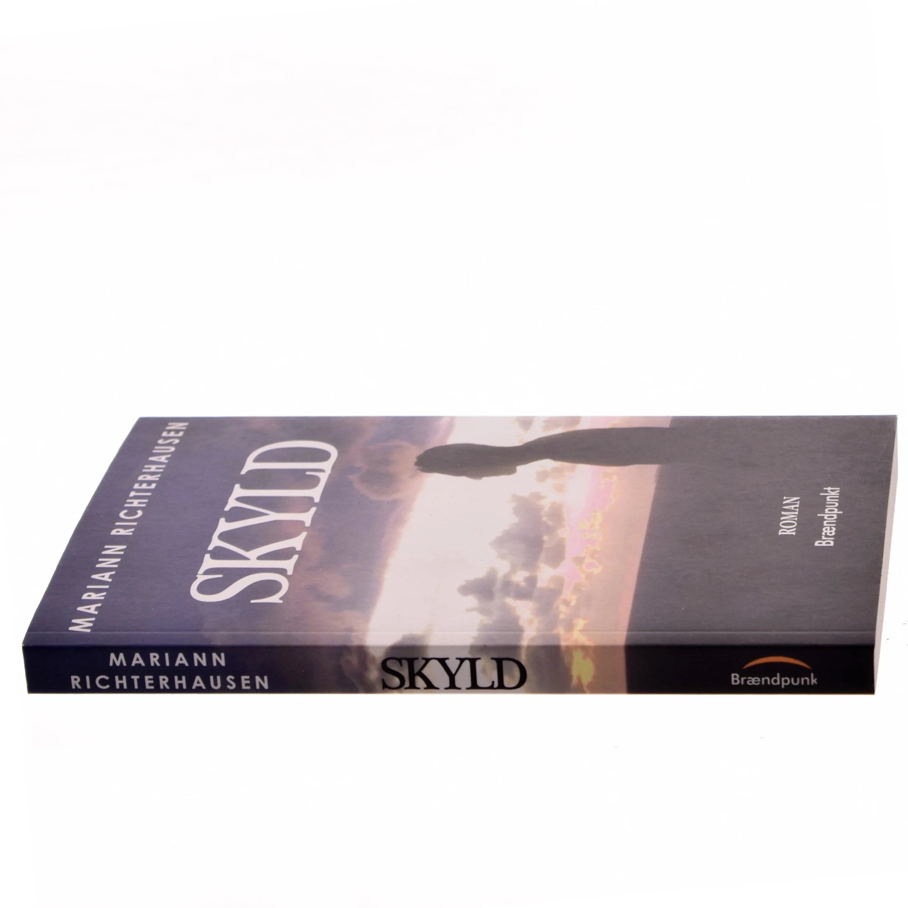 Skyld : roman af Mariann Richterhausen (f. 1980) (Bog)