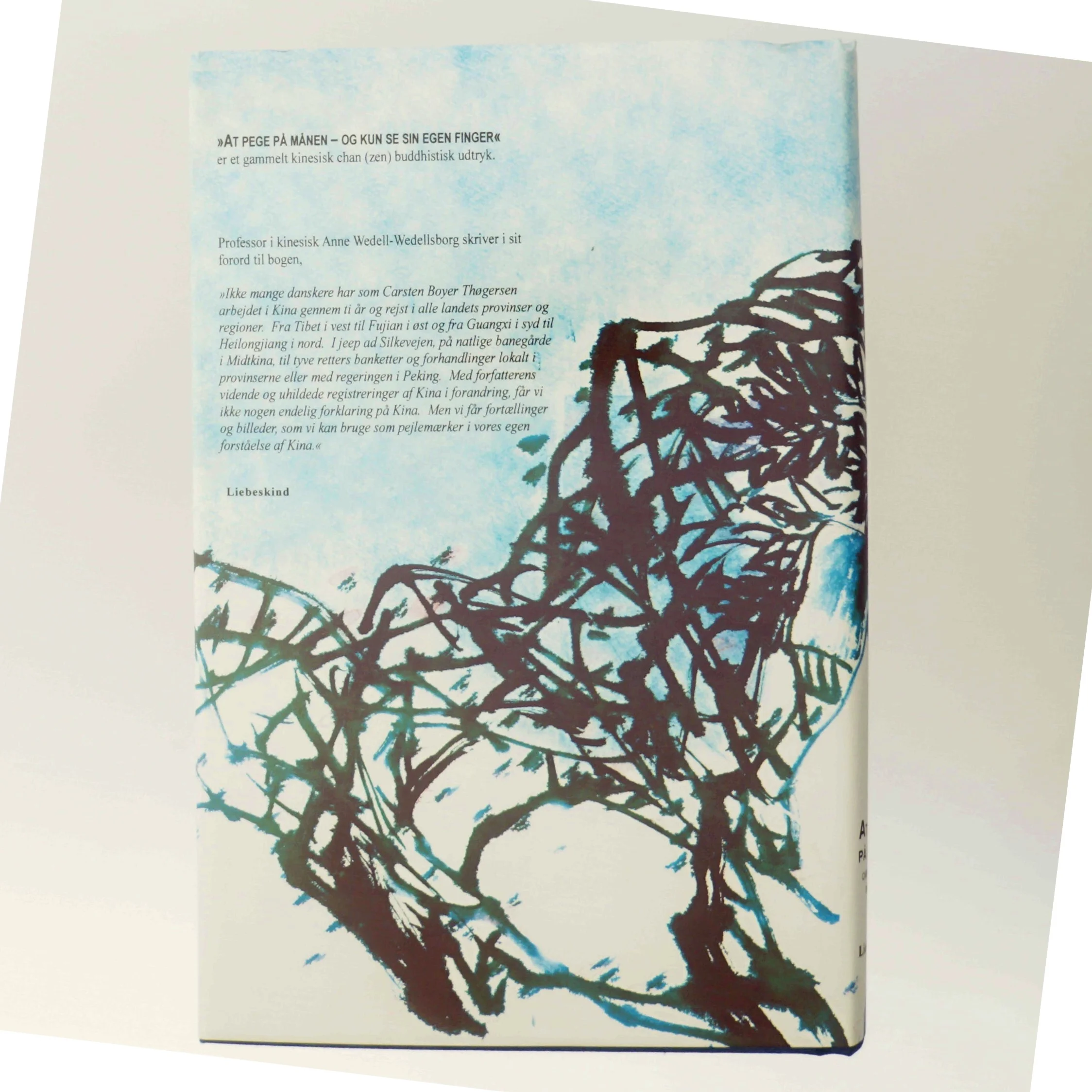 Bog: At pege på månen