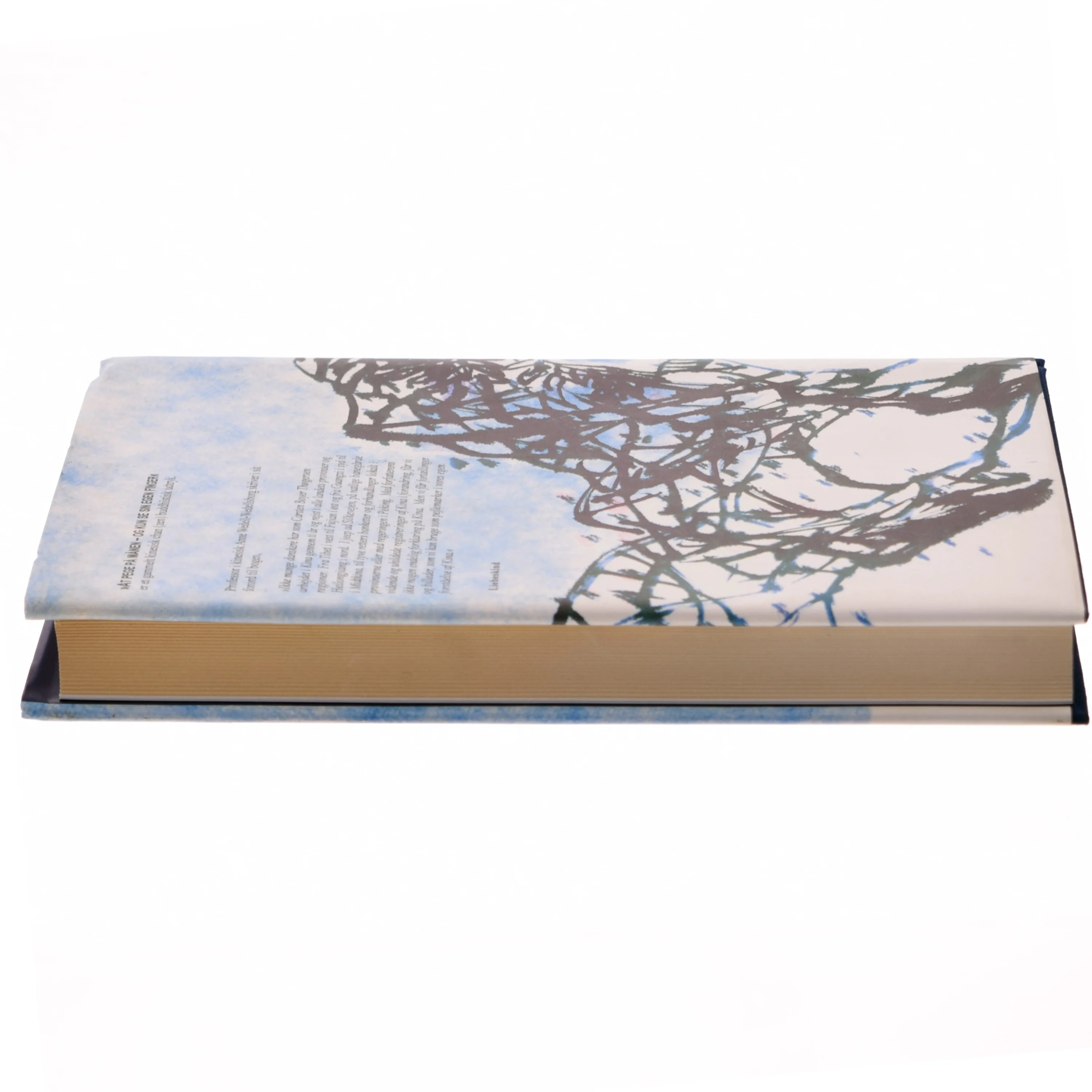 Bog: At pege på månen