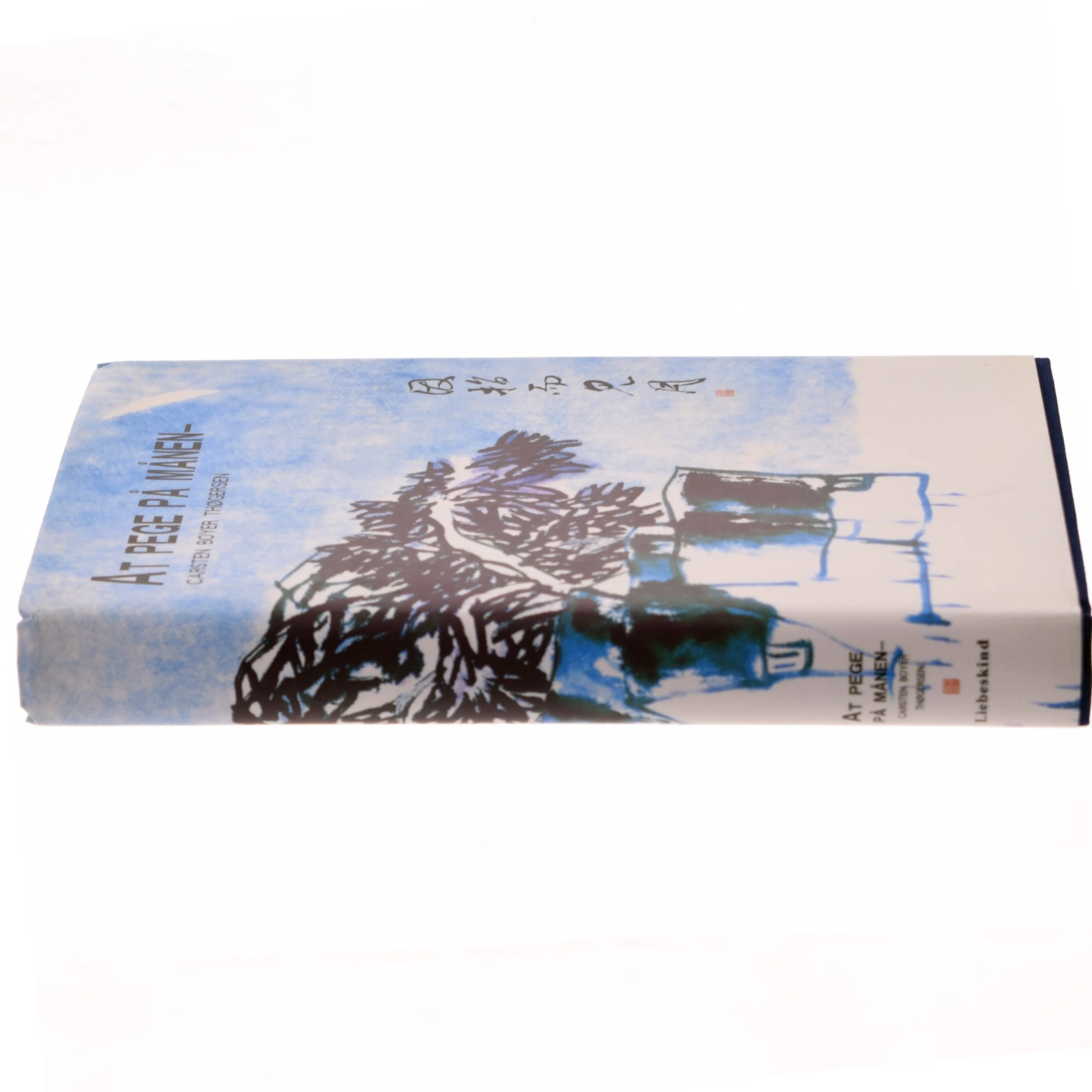 Bog: At pege på månen