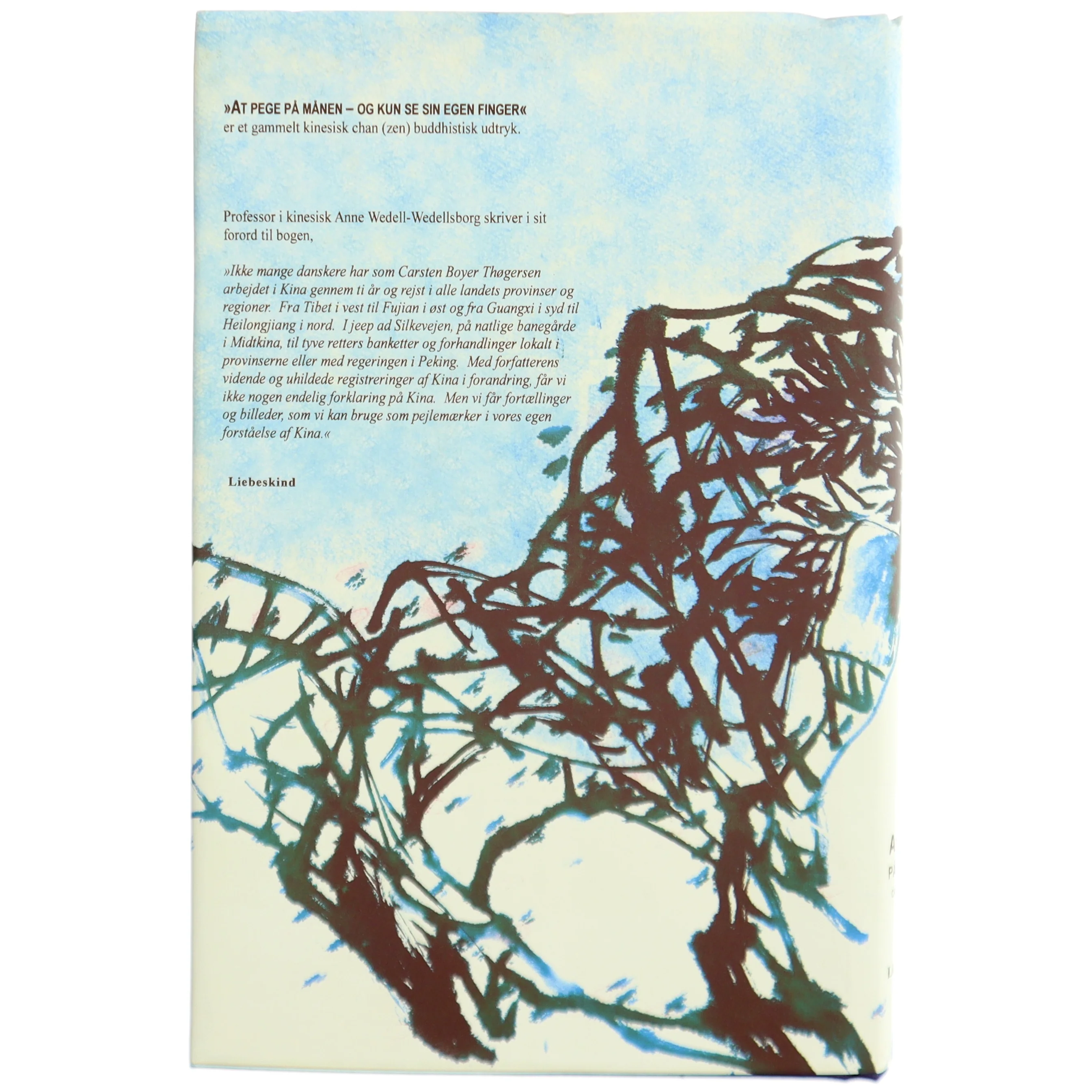 Bog: At pege på månen