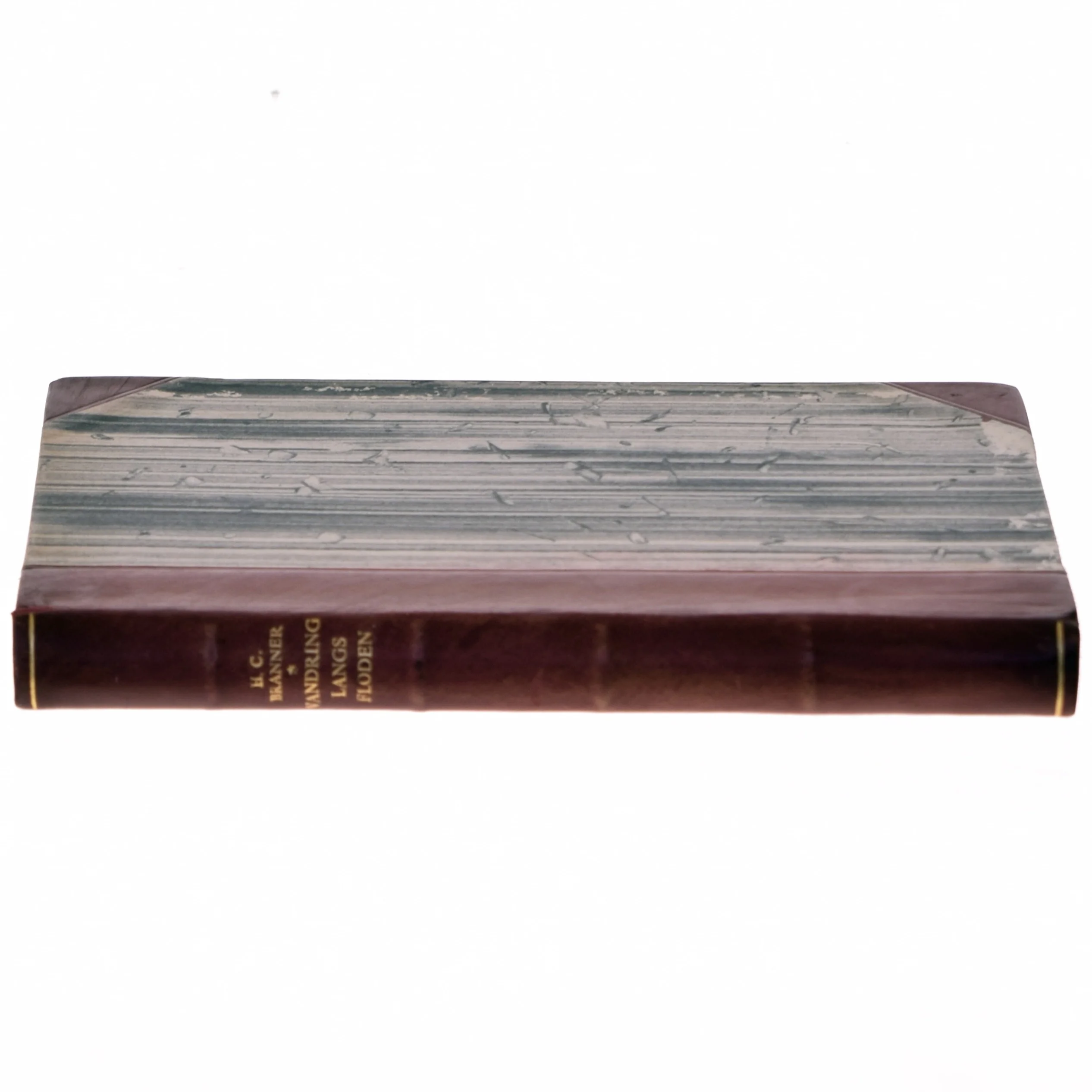 Vandring ghennem tiderne (Bog)