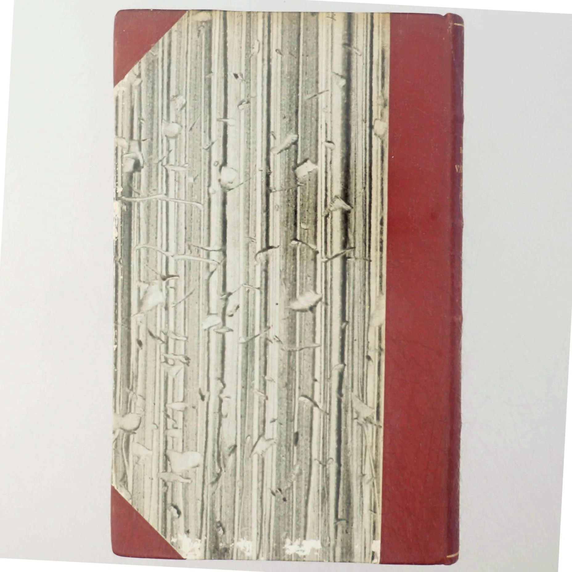 Vandring ghennem tiderne (Bog)