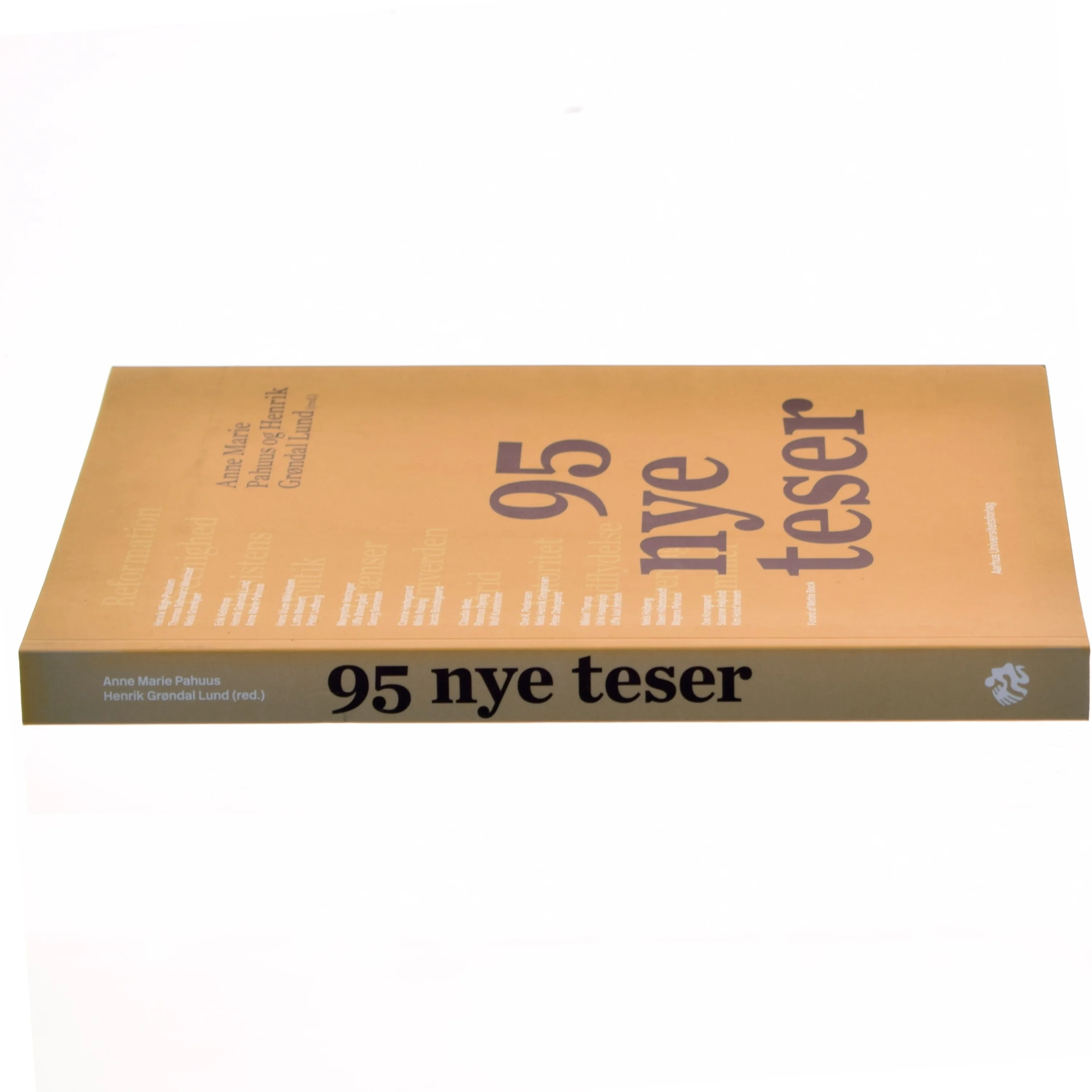 95 nye teser (Bog)
