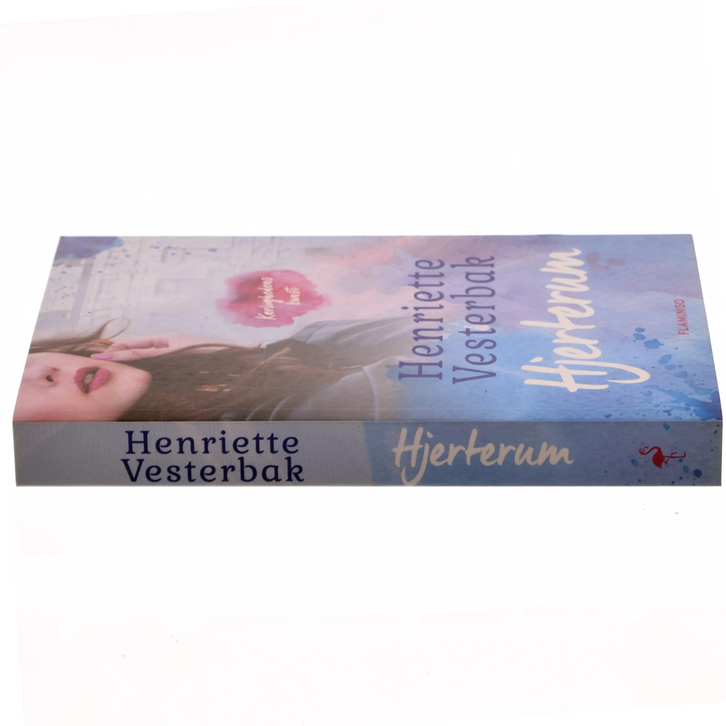 Hjerterum af Henriette Vesterbak (f. 1978) (Bog)