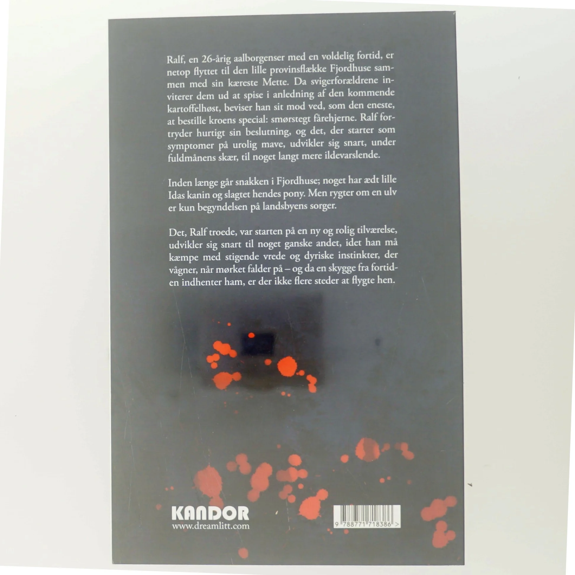 Fjordhusemassakren af Preben Steen (f. 1981) (Bog)