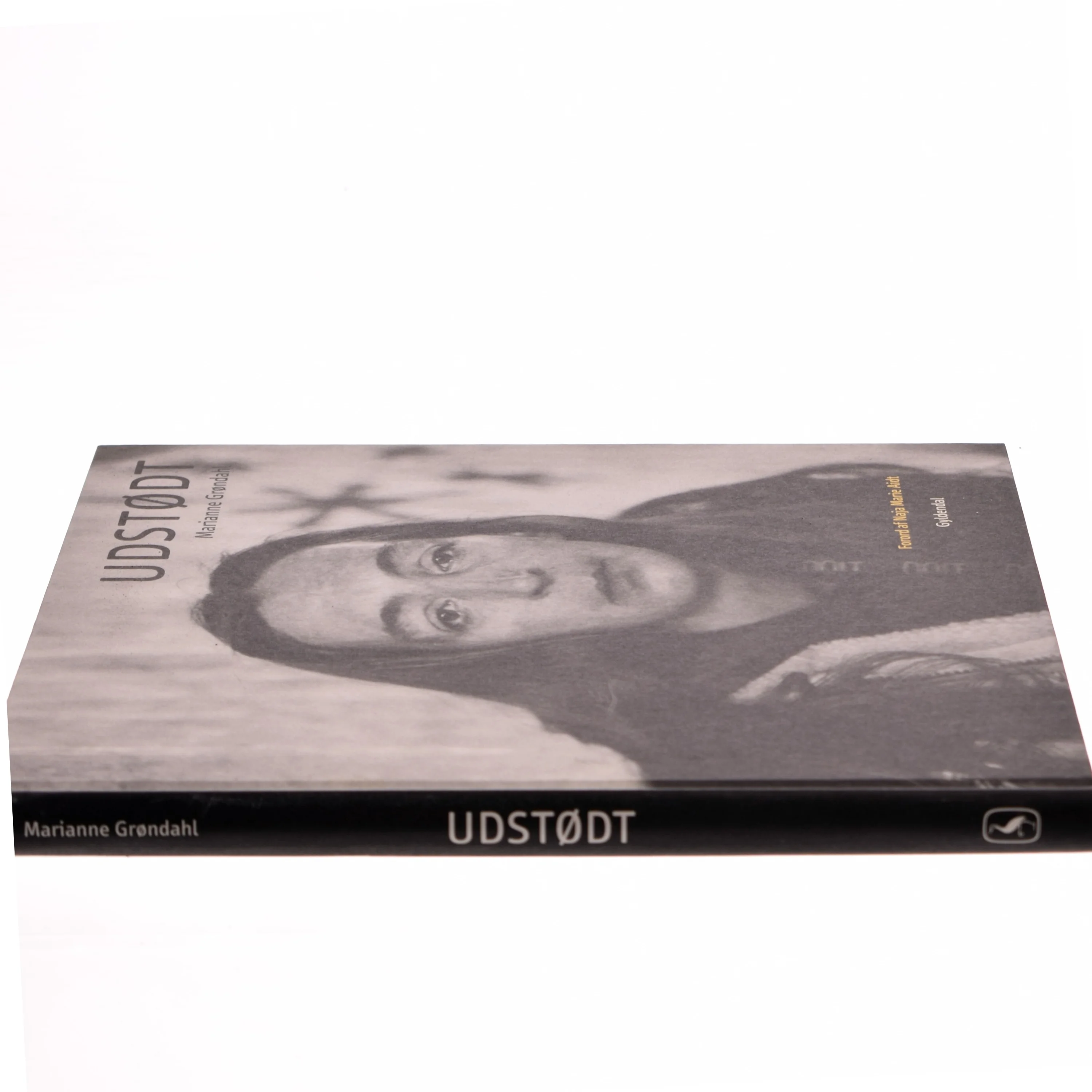Fotobog 'Udstødt' af Marianne Grøndahl fra Gyldendal