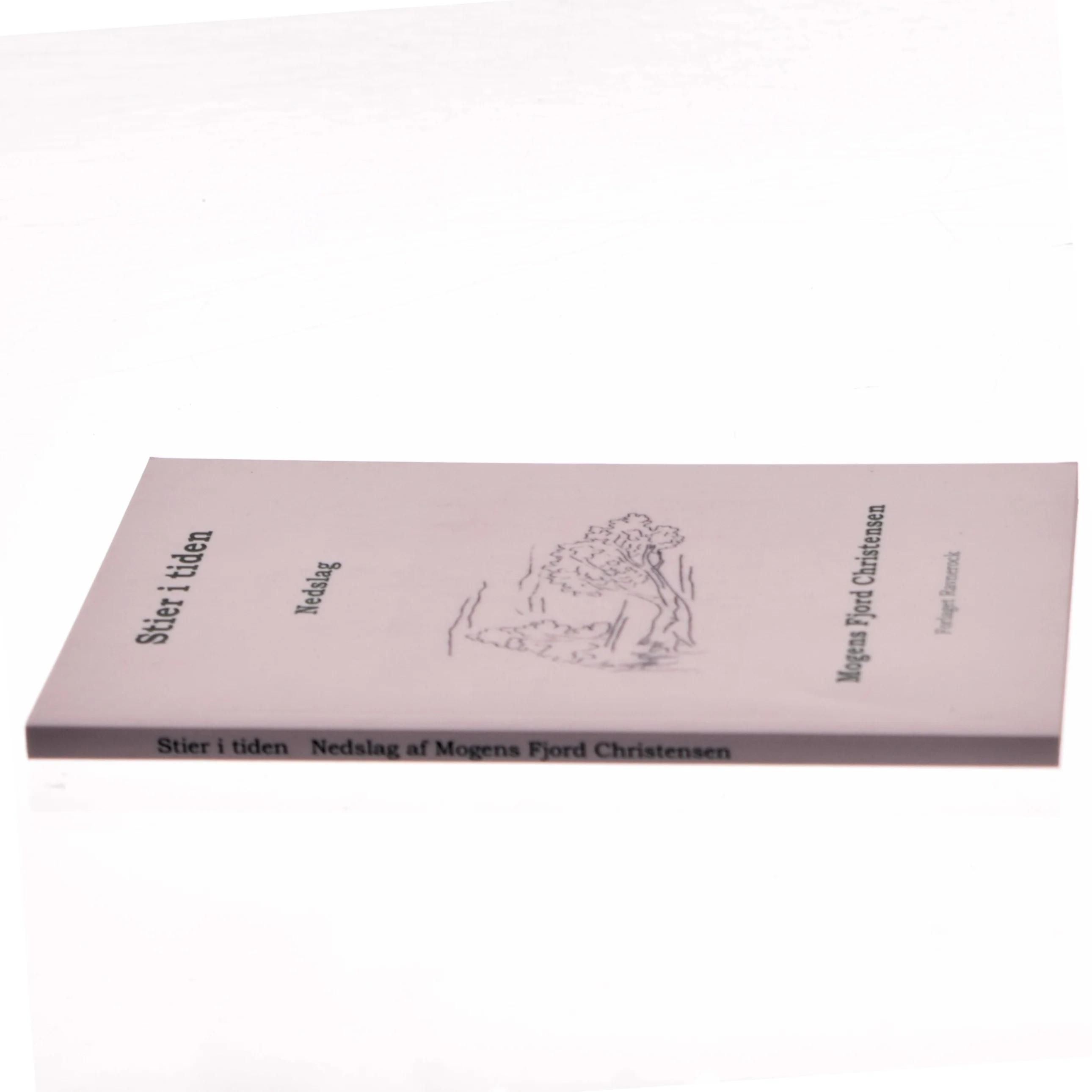 Stier i tiden : nedslag af Mogens Fjord Christensen (Bog)