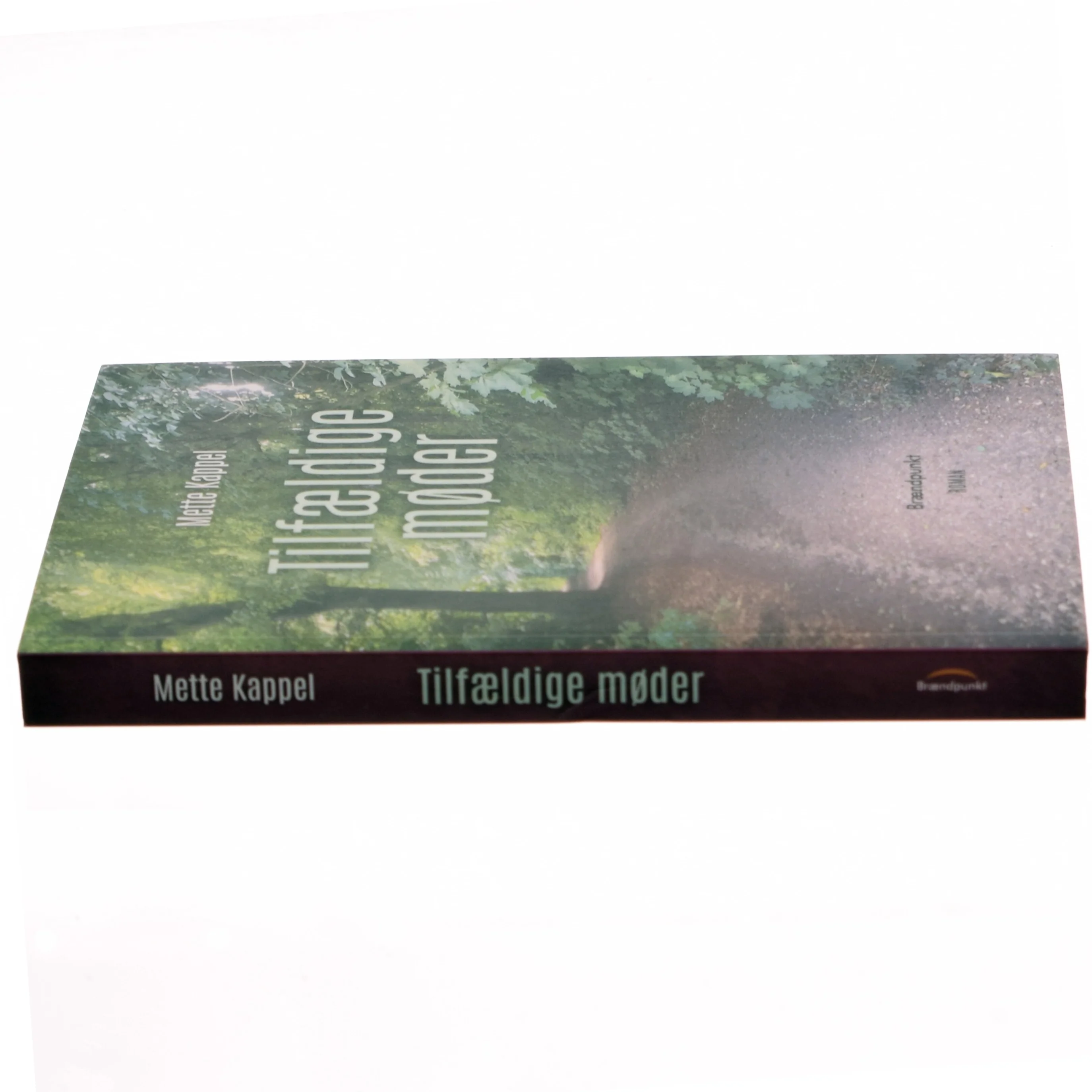 Tilfældige møder : roman af Mette Kappel (Bog)