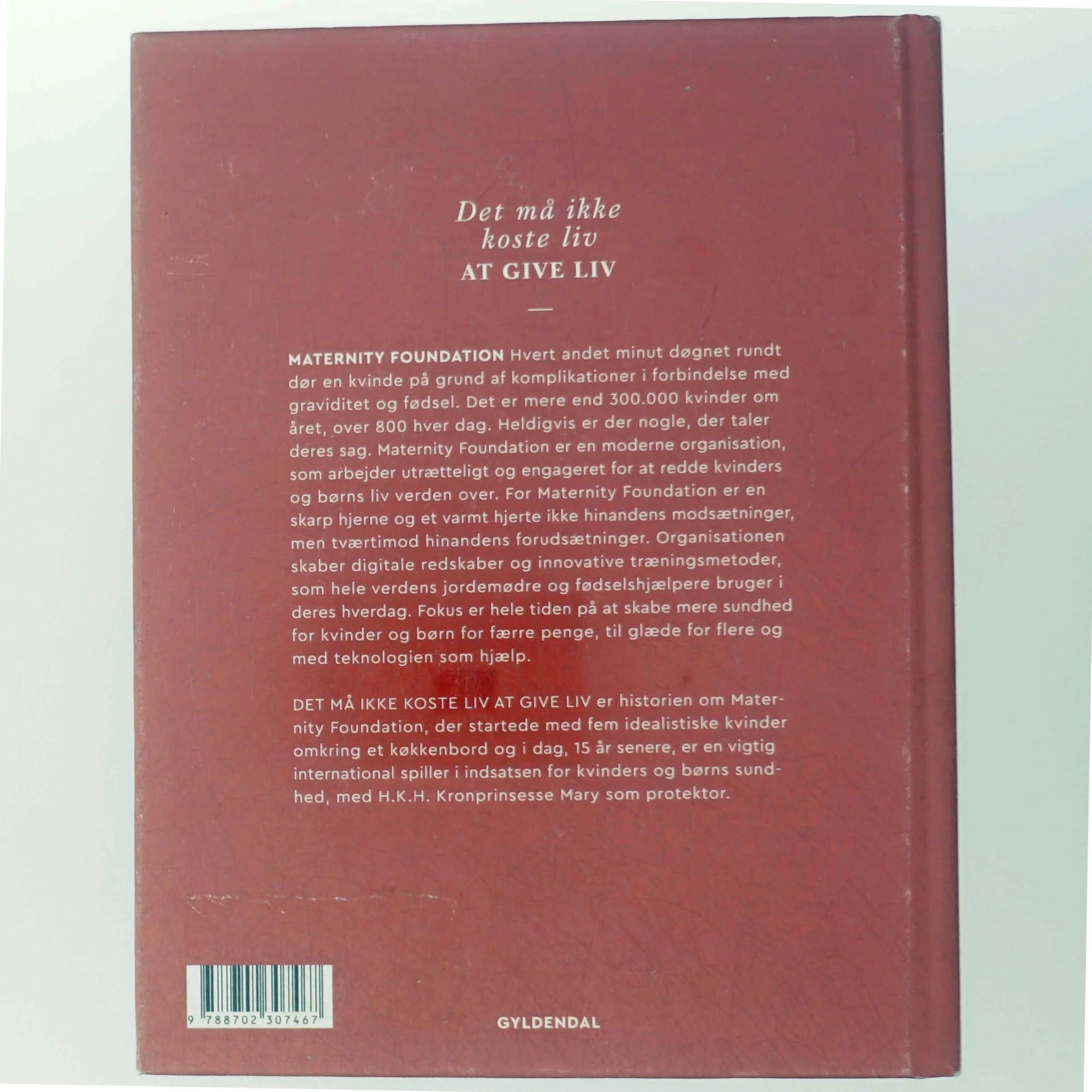 Det må ikke koste liv at give liv : Maternity Foundation - fra lille dansk NGO til global digital frontløber i kamp for kvinders sundhed af Kirsten Weiss (Bog)