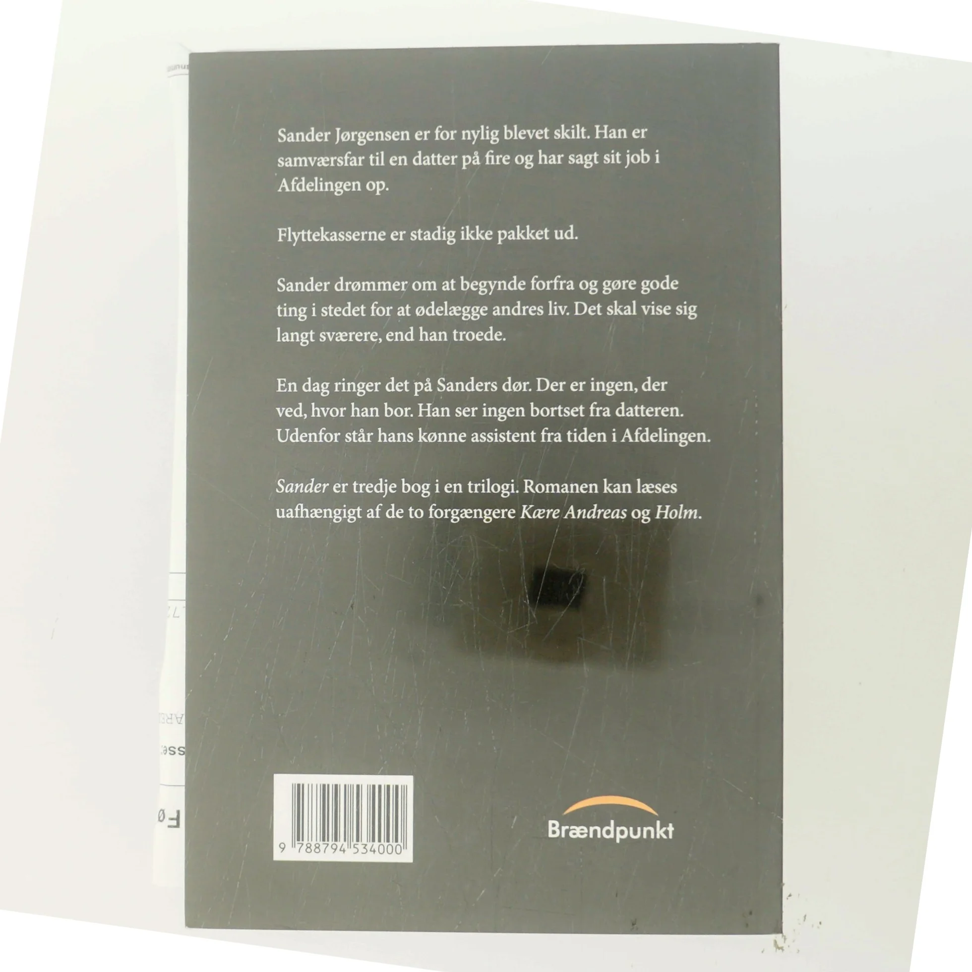 Sander : roman af Alex Madsen (f. 1951-08-03) (Bog)