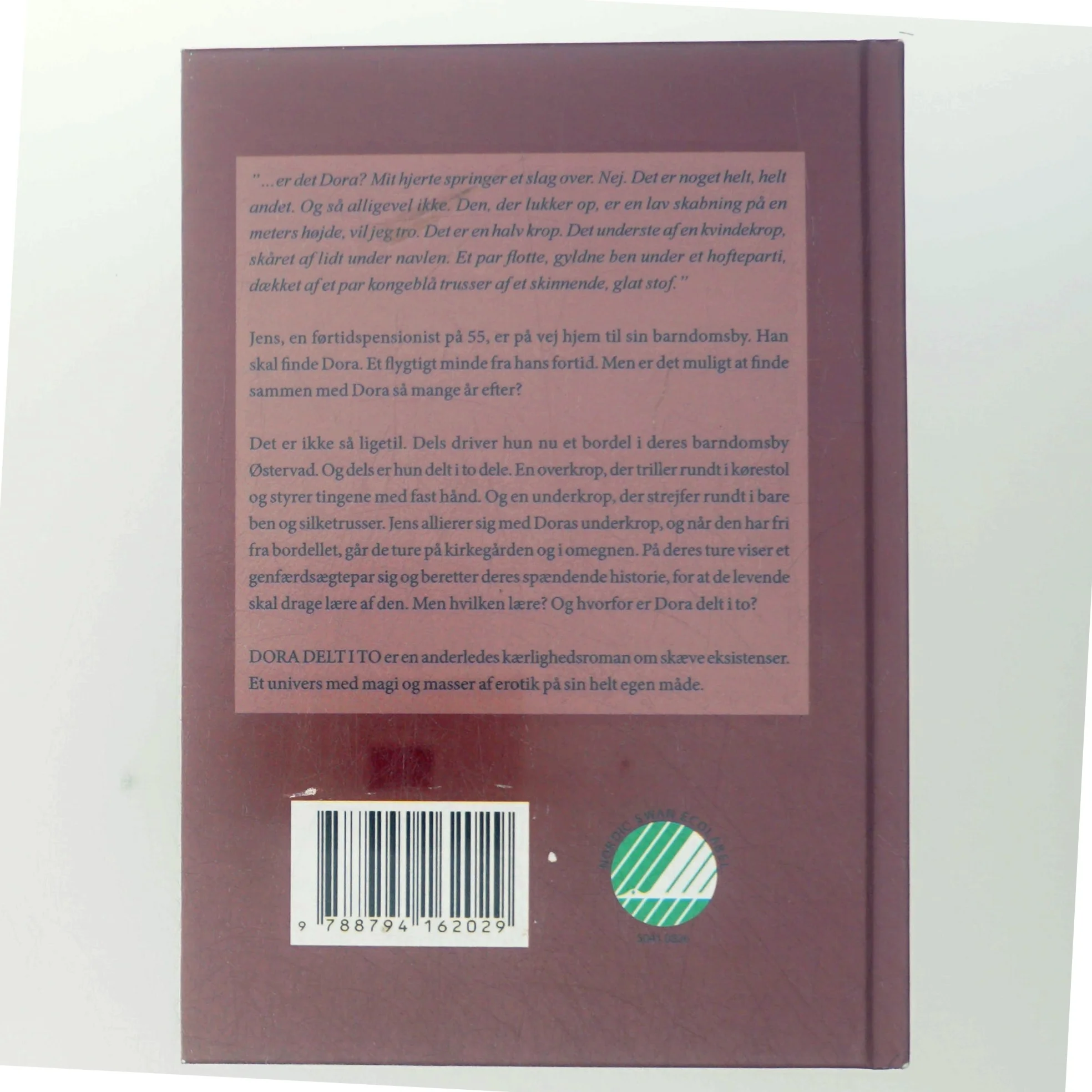 Dora delt i to : en besynderlig skrøne om genfærd, horehuse, kærlighedens gerninger - og en kvinde i to halvdele af Ole Gadegaard Frandsen (f. 1953-09-24) (Bog)