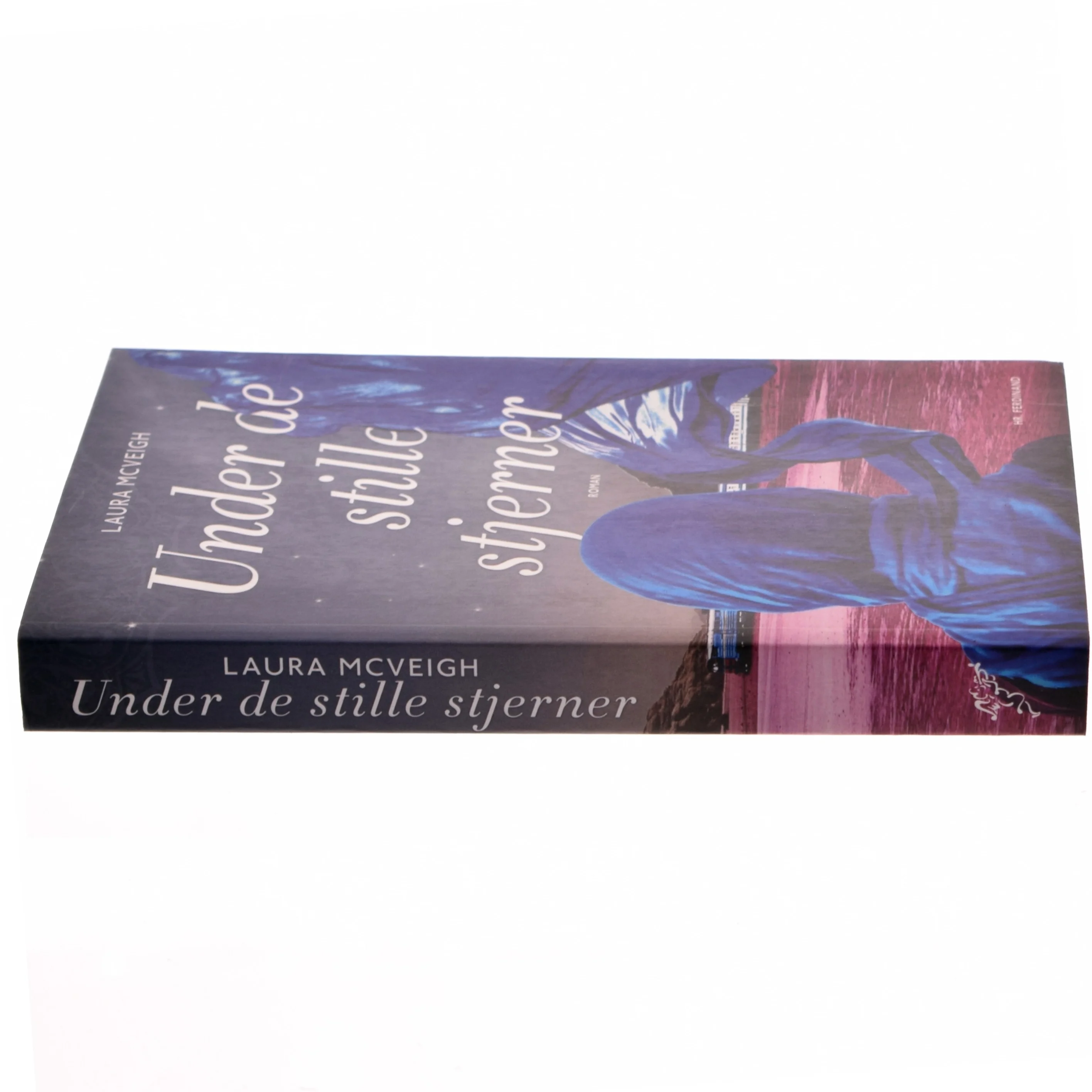 Under de stille stjerner : roman af Laura McVeigh (Bog)