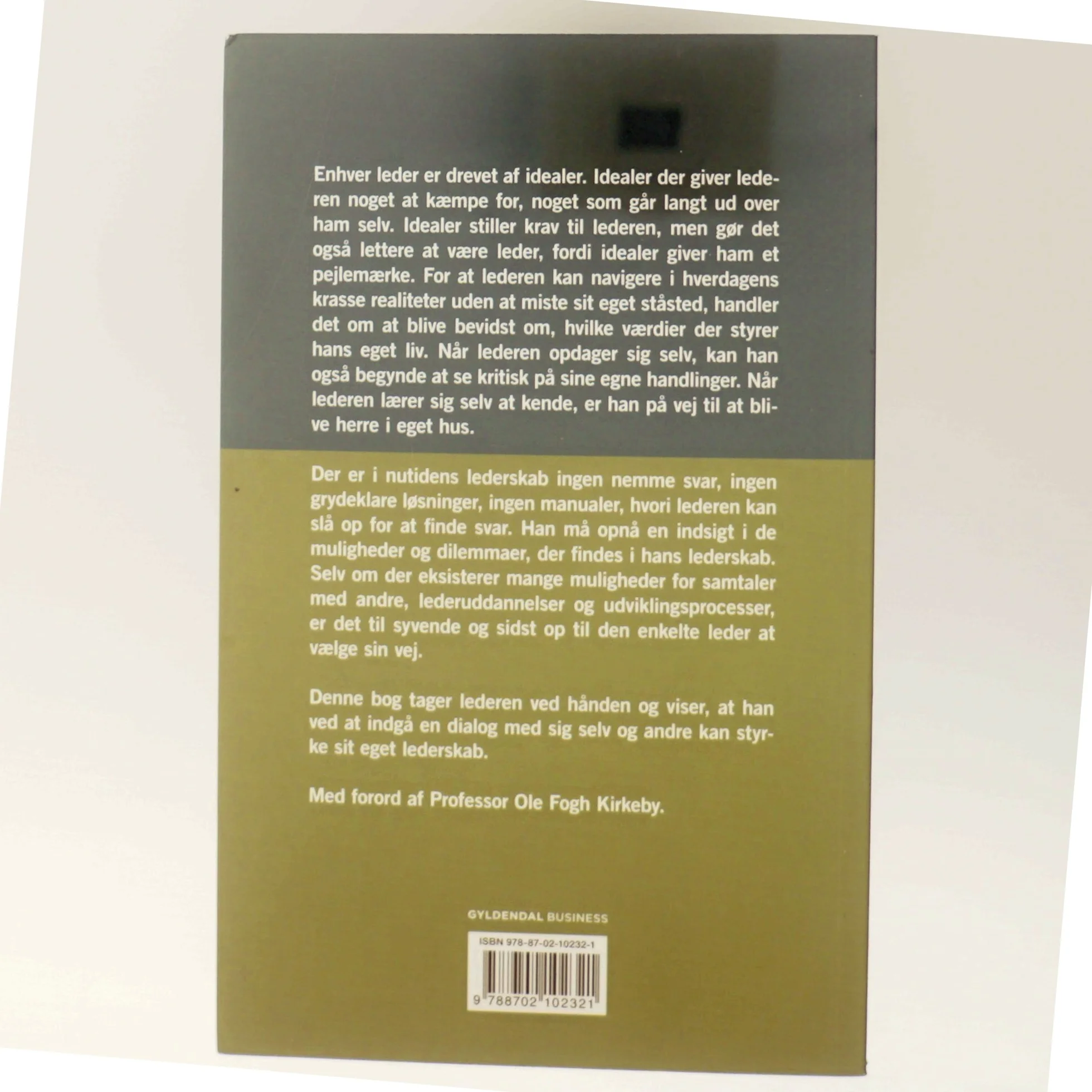 Smukke idealer og krasse realiteter : nyt perspektiv på det personlige lederskab af Poula Helth (Bog)