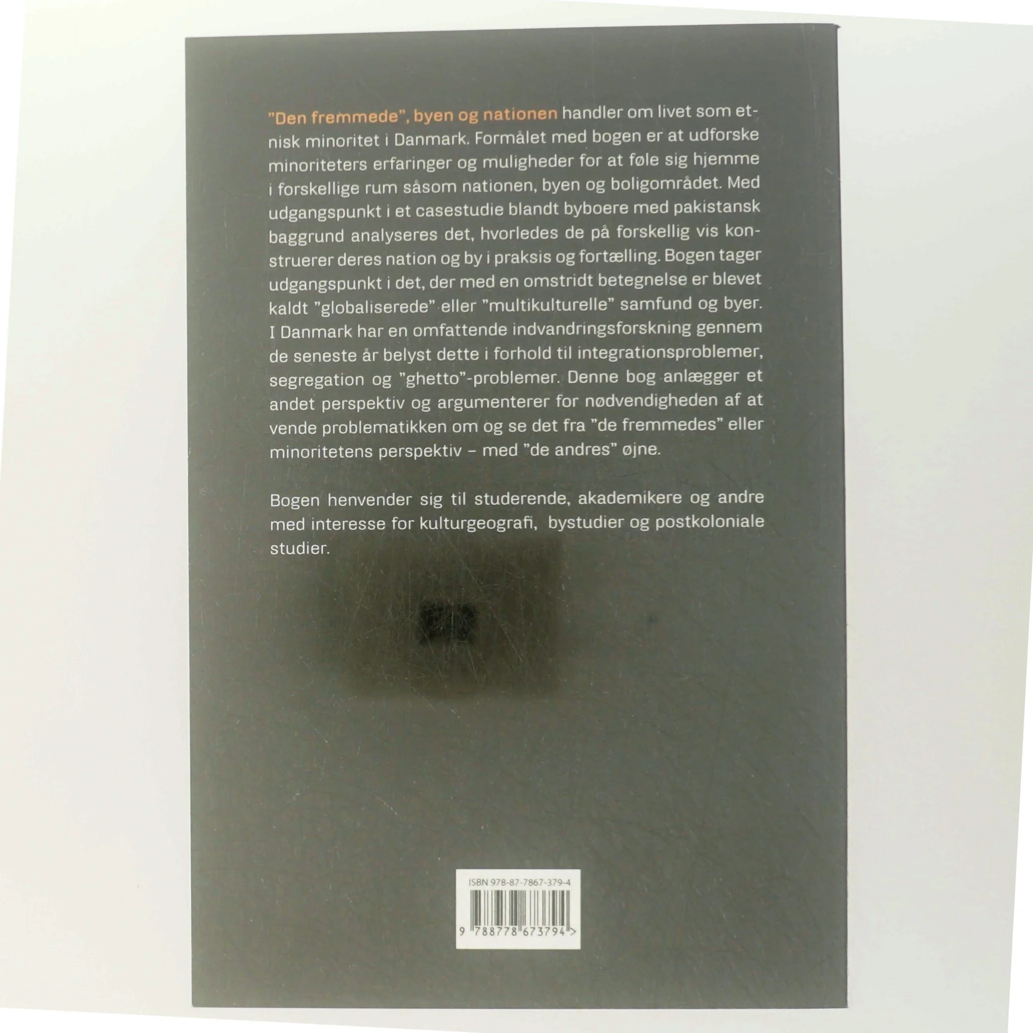 "Den fremmede", byen og nationen : om livet som etnisk minoritet af Lasse Koefoed (Bog)