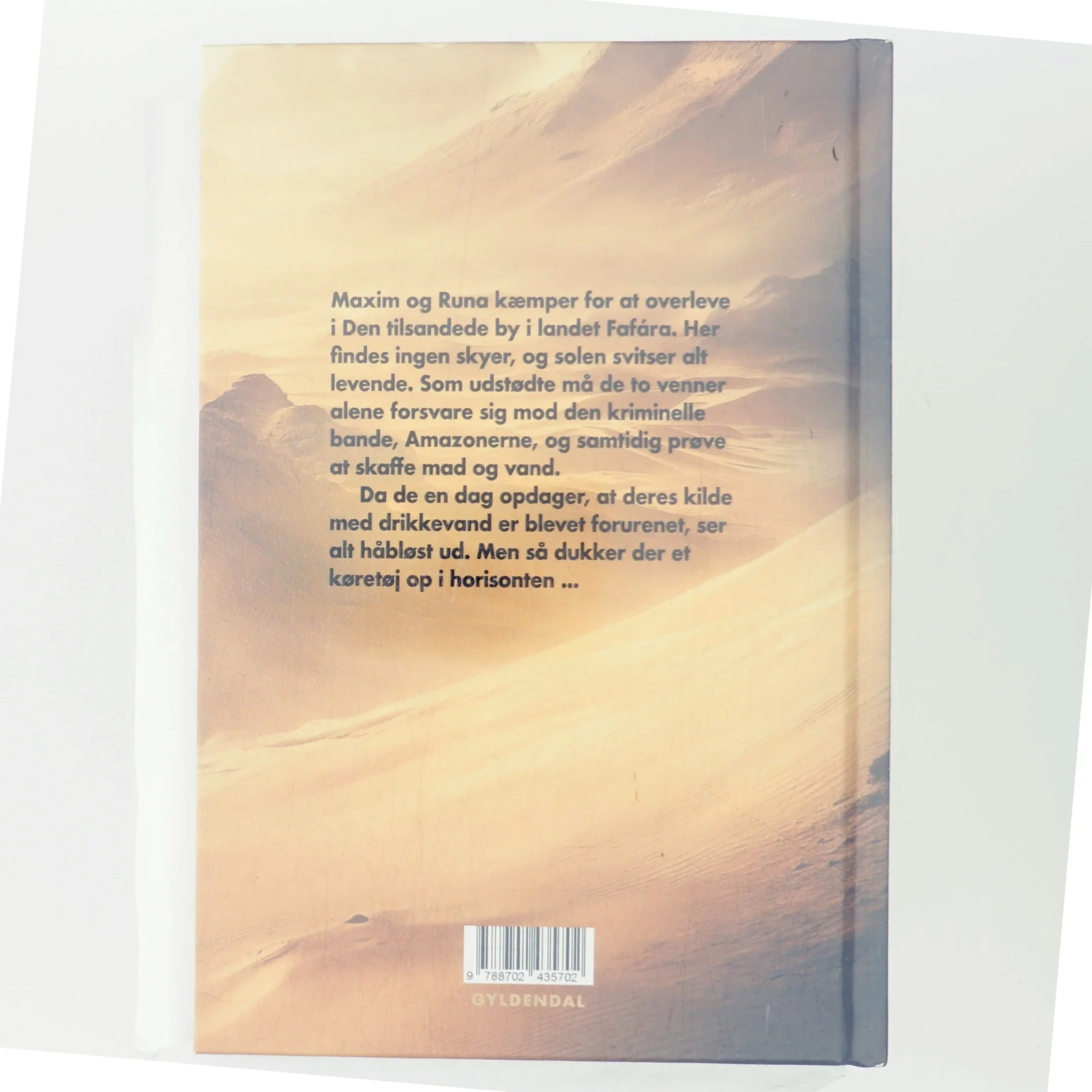 Landet uden skyer - ørkenskibet af Ida-Marie Rendtorff (Bog)