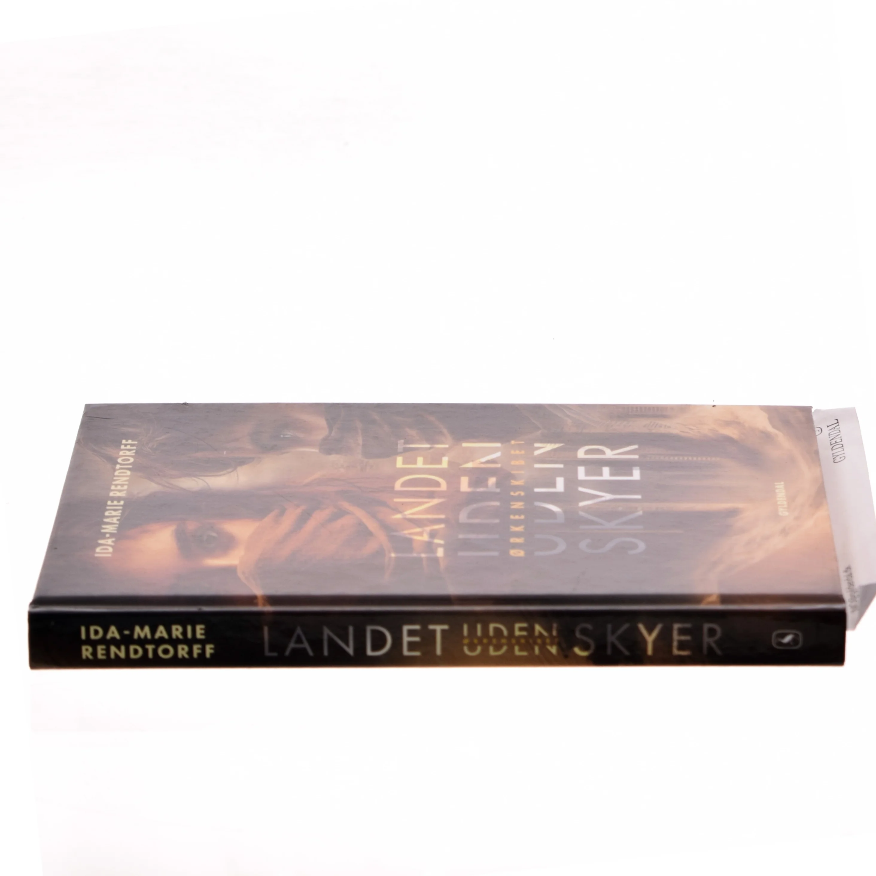 Landet uden skyer - ørkenskibet af Ida-Marie Rendtorff (Bog)