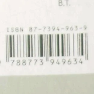 Sorgenfri af Jo Nesbø (Bog)