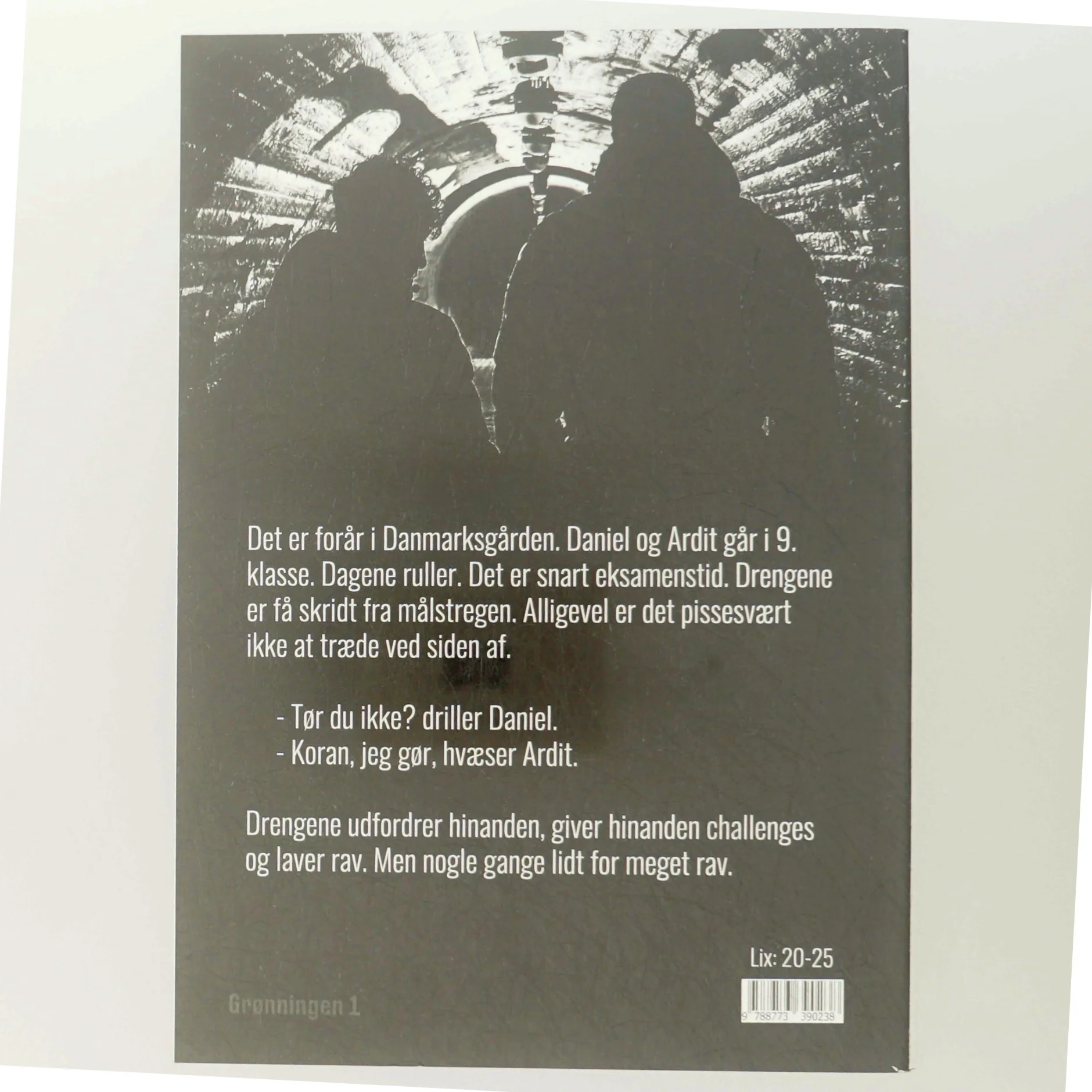 Daniel & Ardit af Gitte Søby Madsen (Bog)