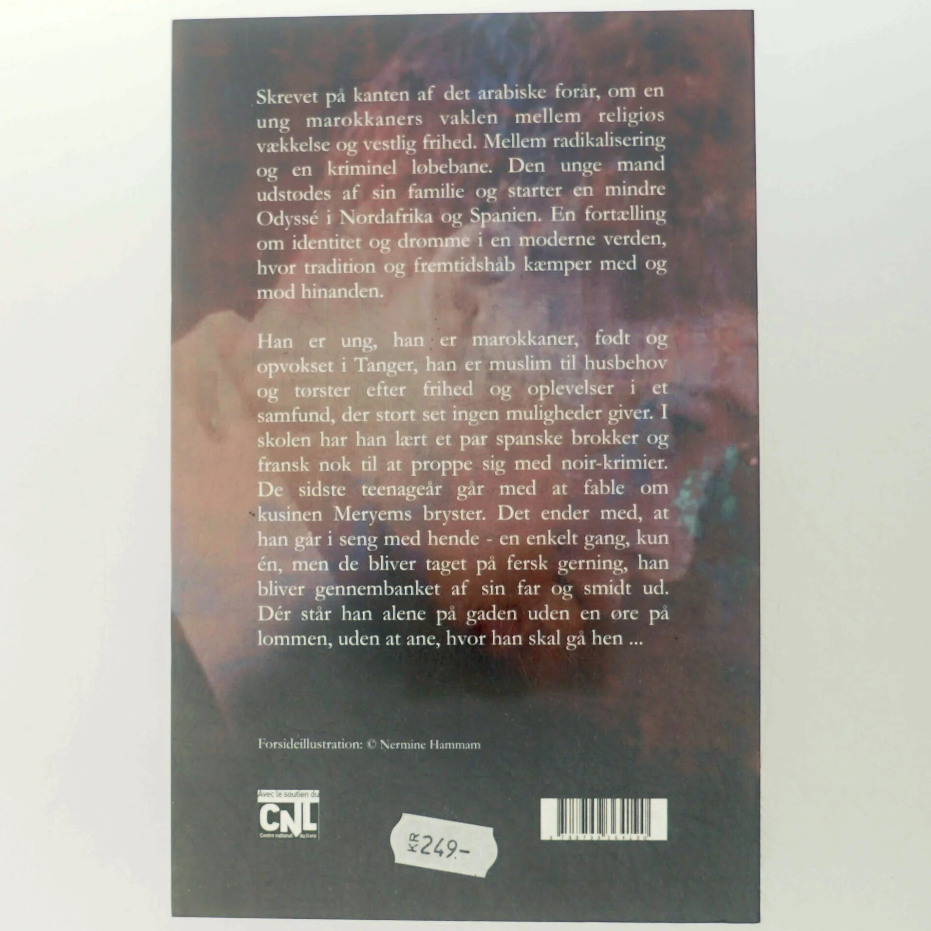 Tyvenes gade : roman af Mathias Énard (f. 1972) (Bog)