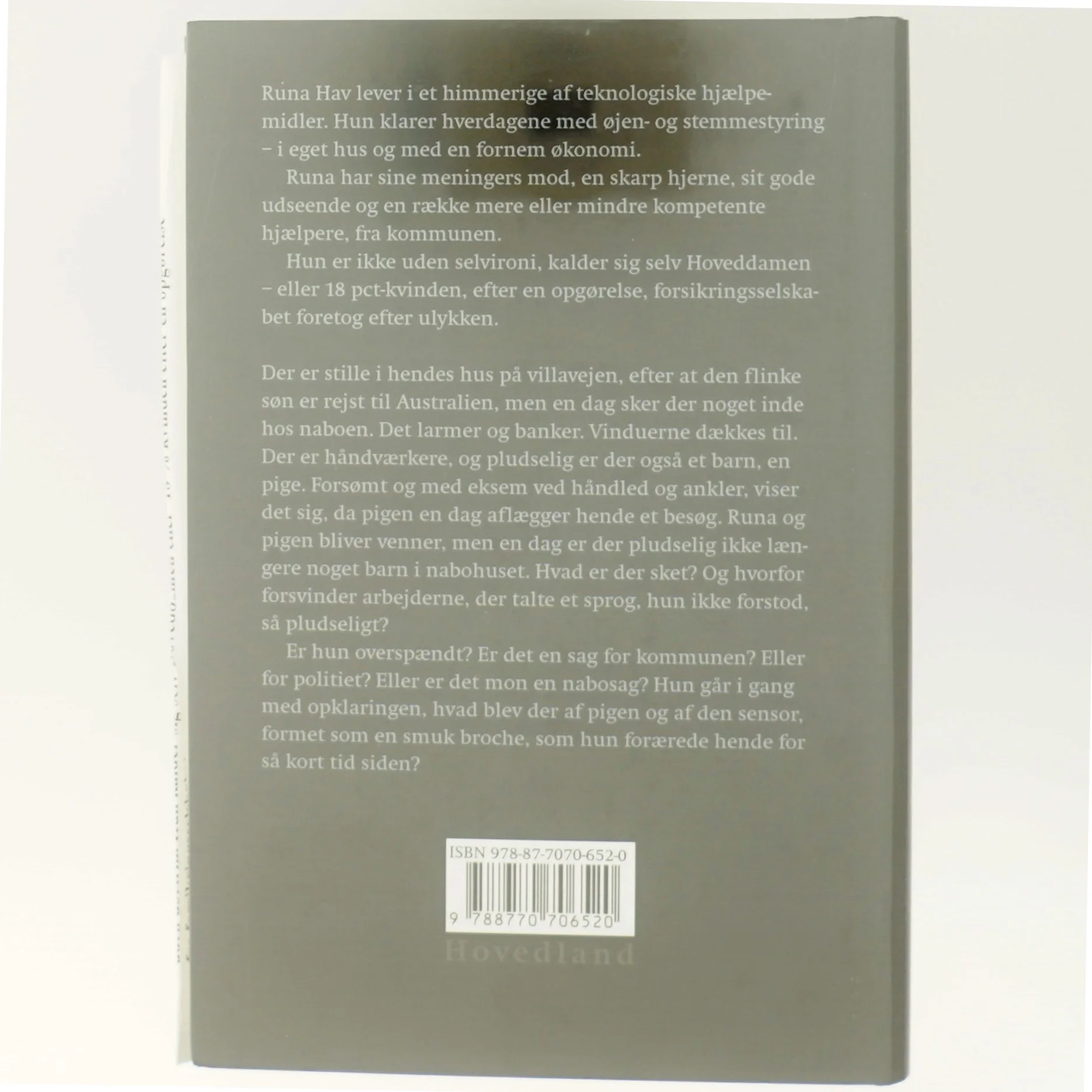 Hoveddamens nabohjælp : en hverdagsskrimi af Iben Danielsen (f. 1956) (Bog)