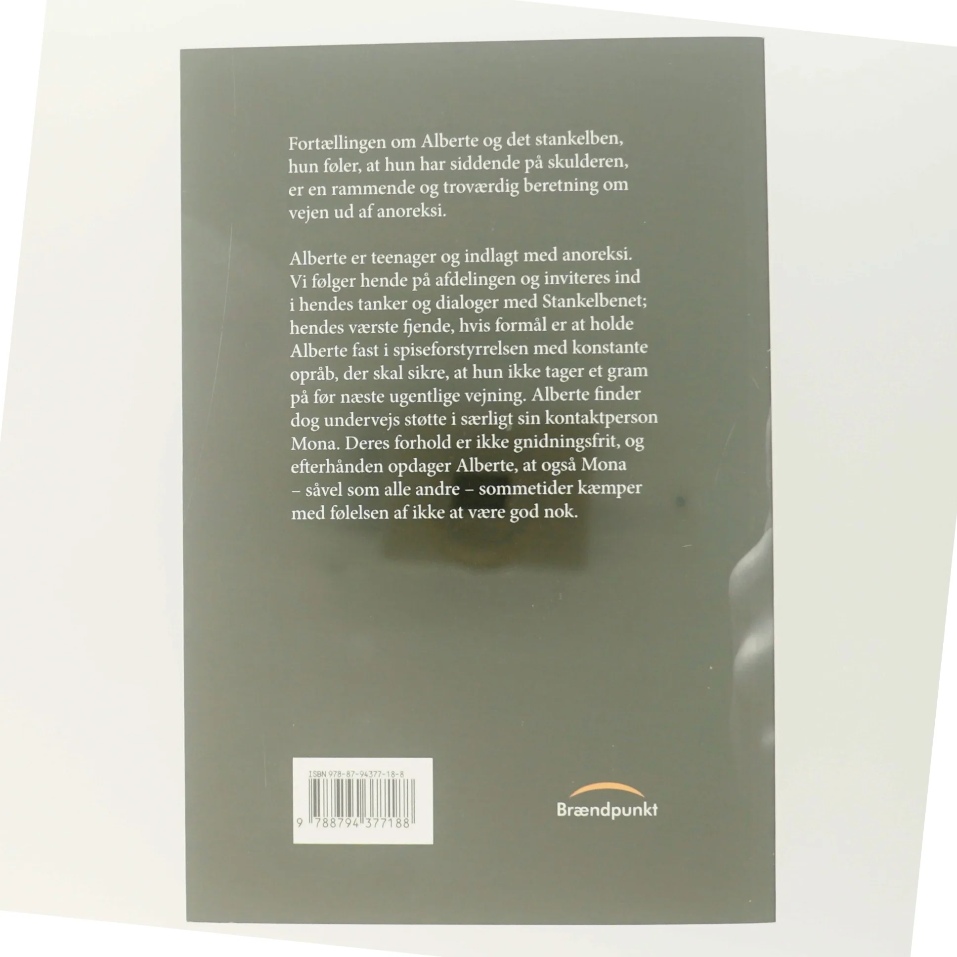 Stankelbenet : roman af Henriette Kinch (Bog)