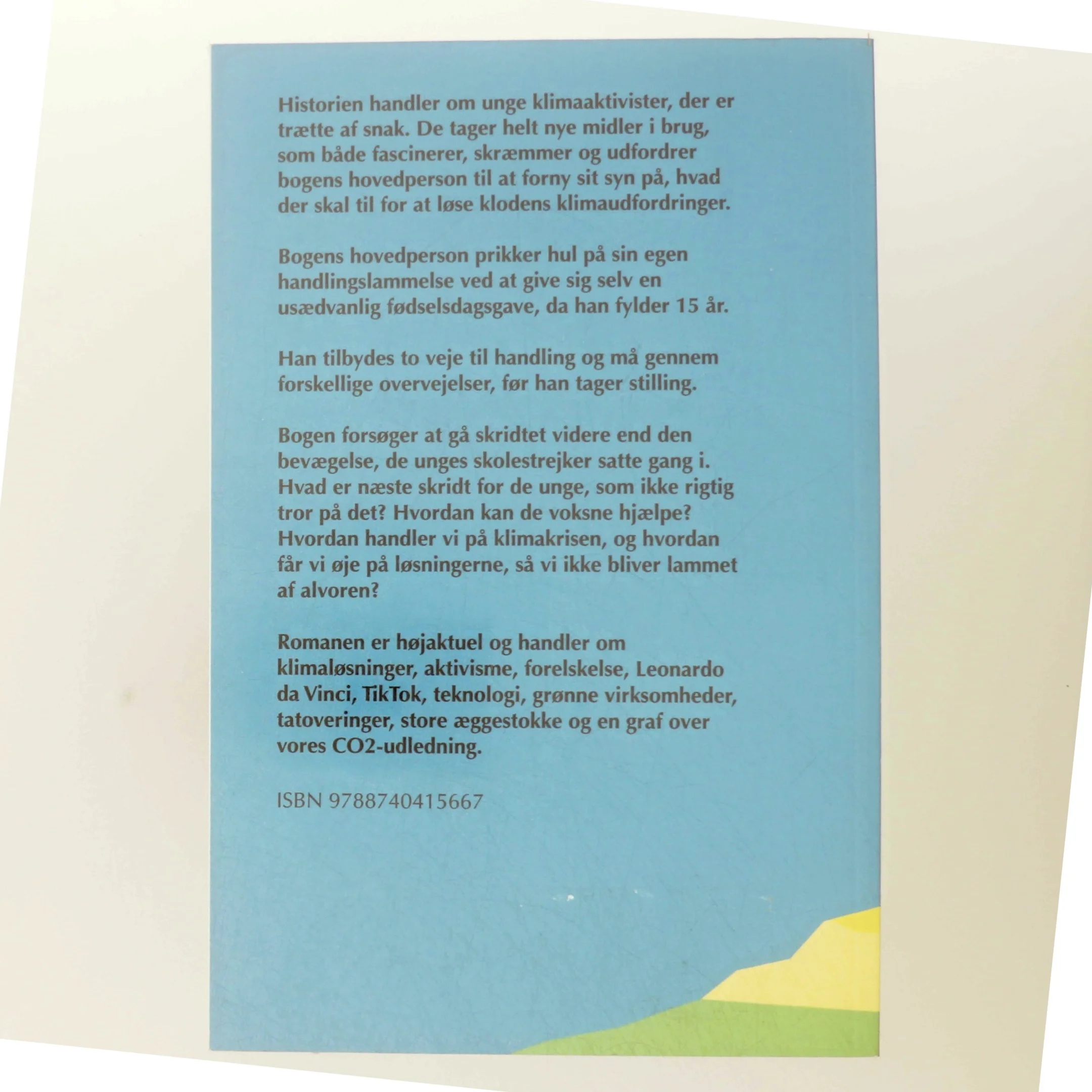 'Mauna Loa Grafen' af Carsten Borch (bog)