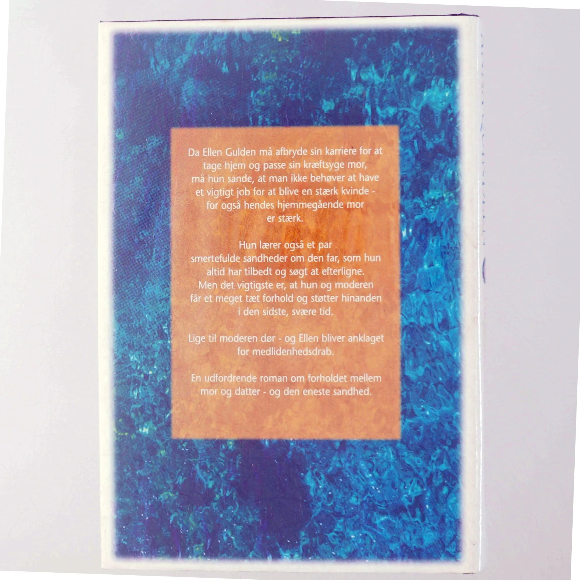 Anna Quindlen: Den Eneste Sandhed (Bog)