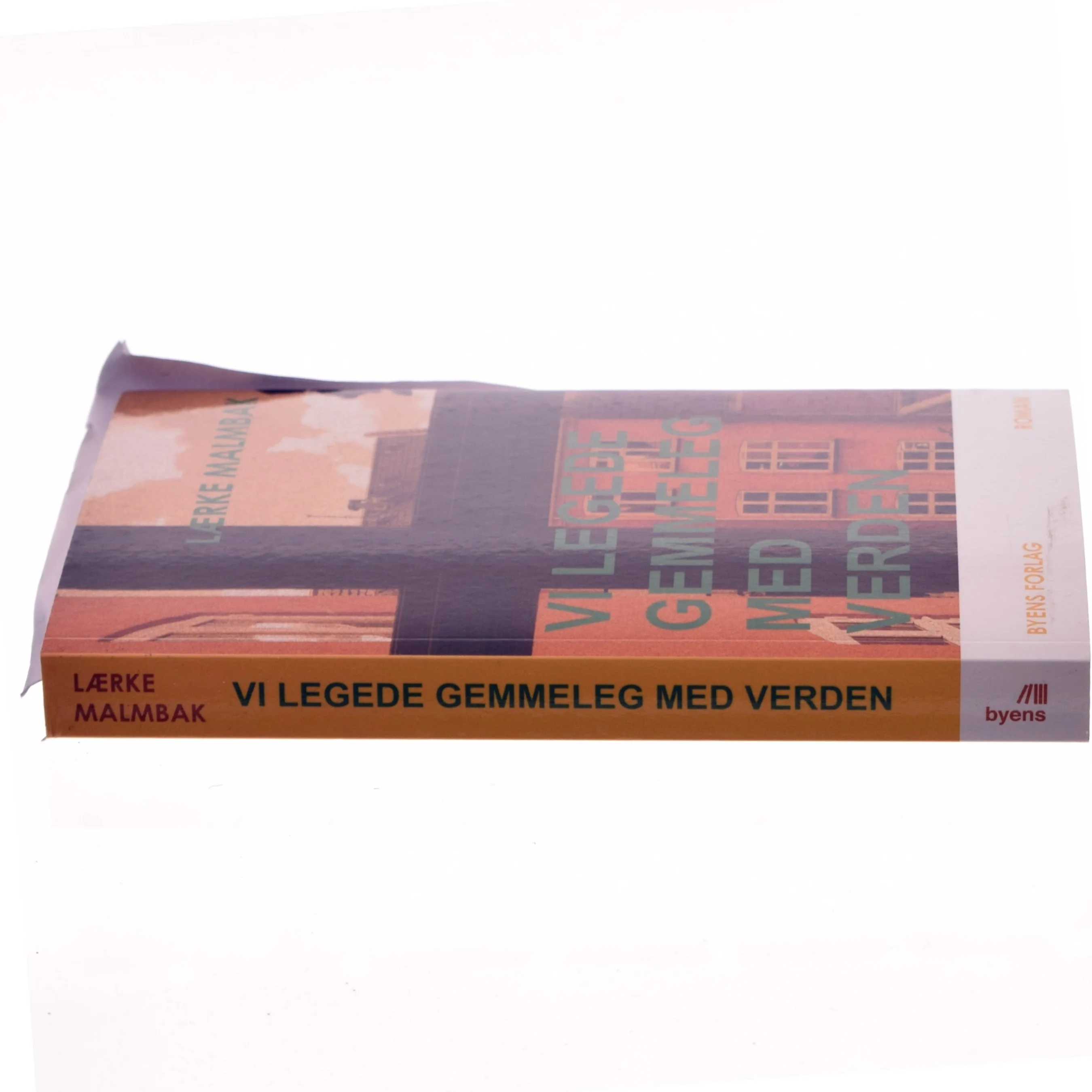 Vi legede gemmeleg med verden : roman af Lærke Malmbak (Bog)