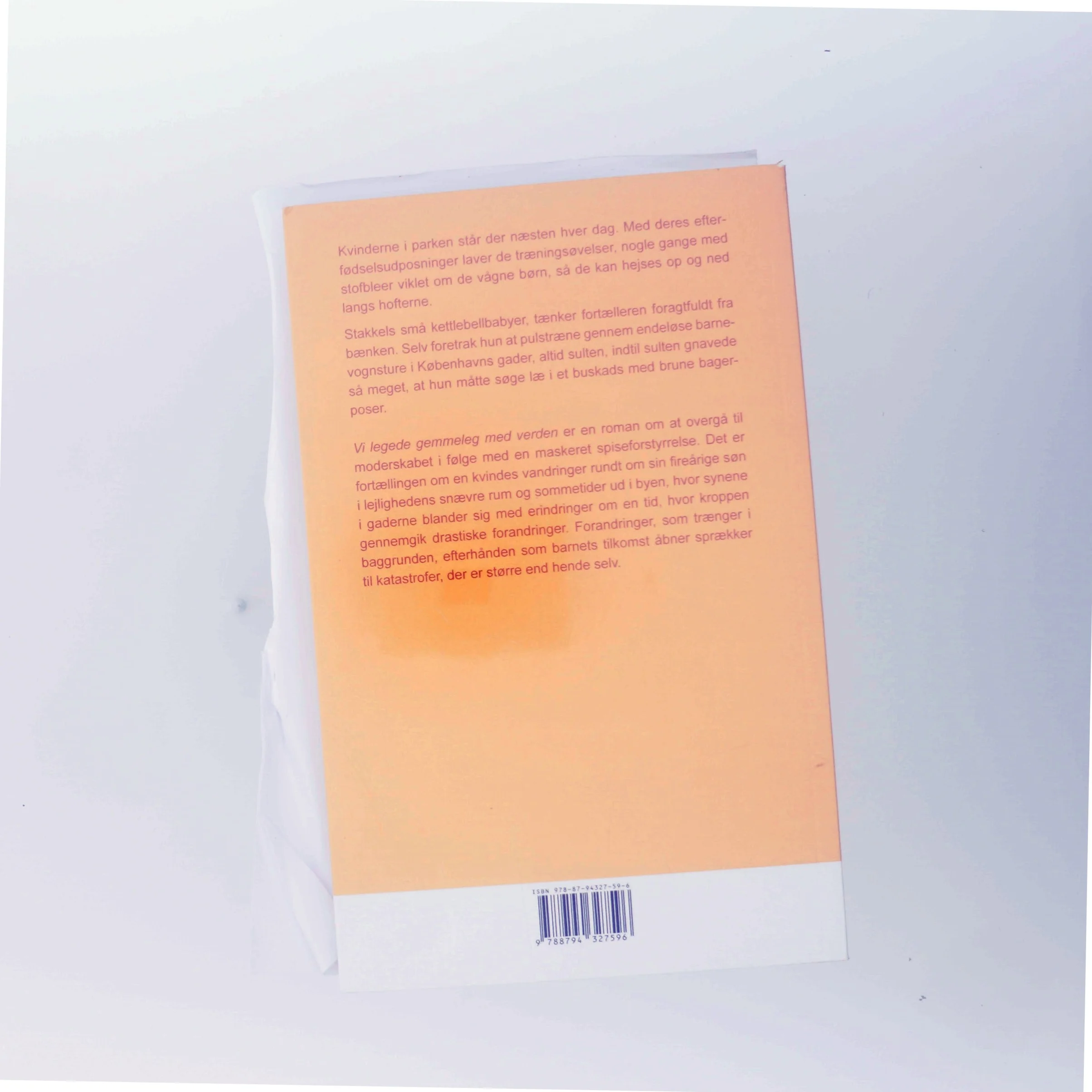 Vi legede gemmeleg med verden : roman af Lærke Malmbak (Bog)