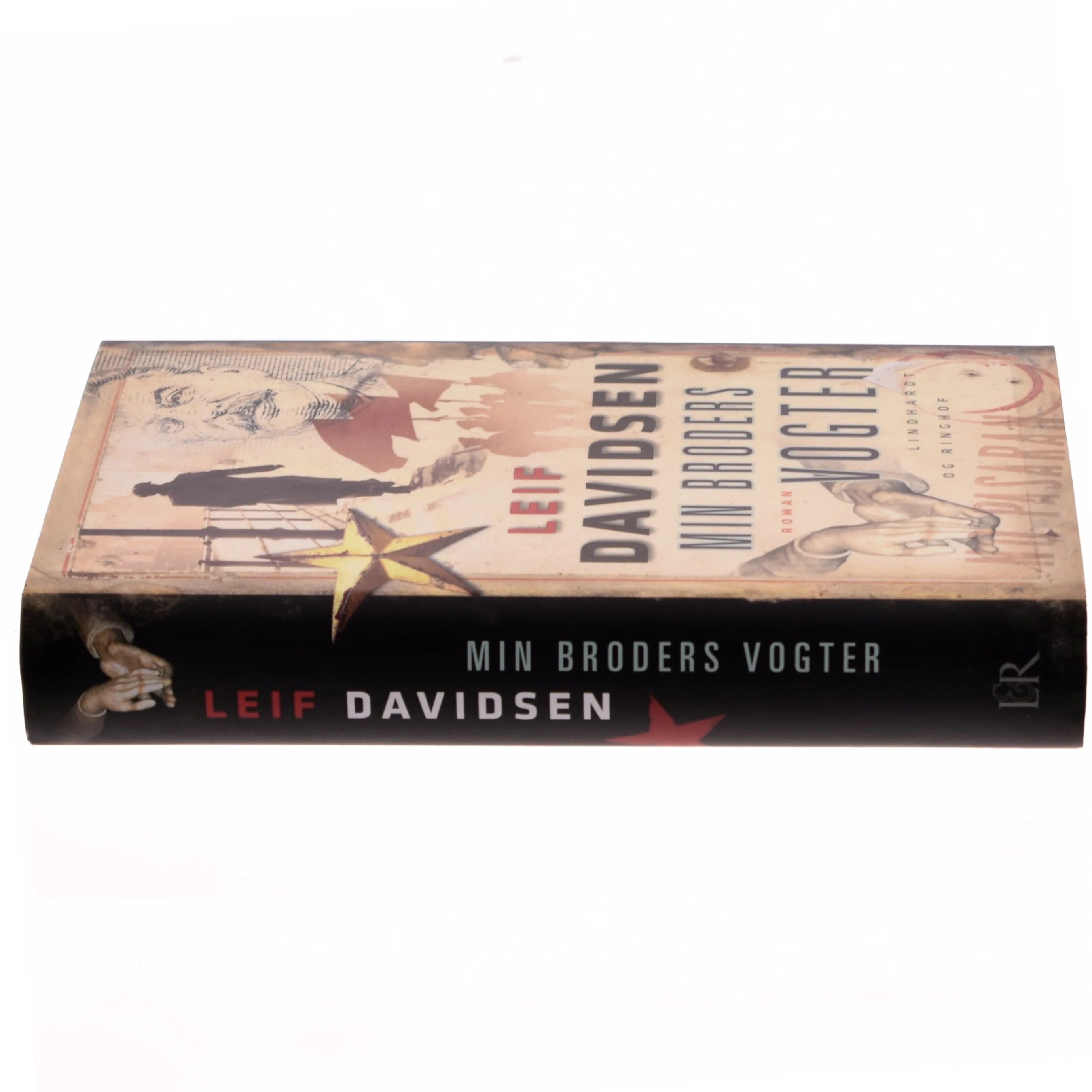 Min broders vogter : roman af Leif Davidsen (Bog)