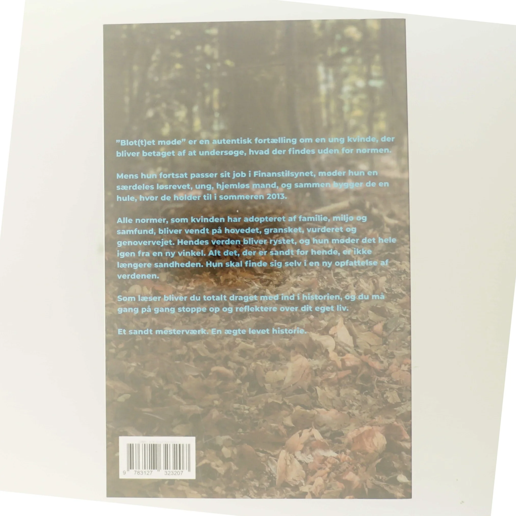 Blot(t)et møde af Therese de Wolff (Bog)