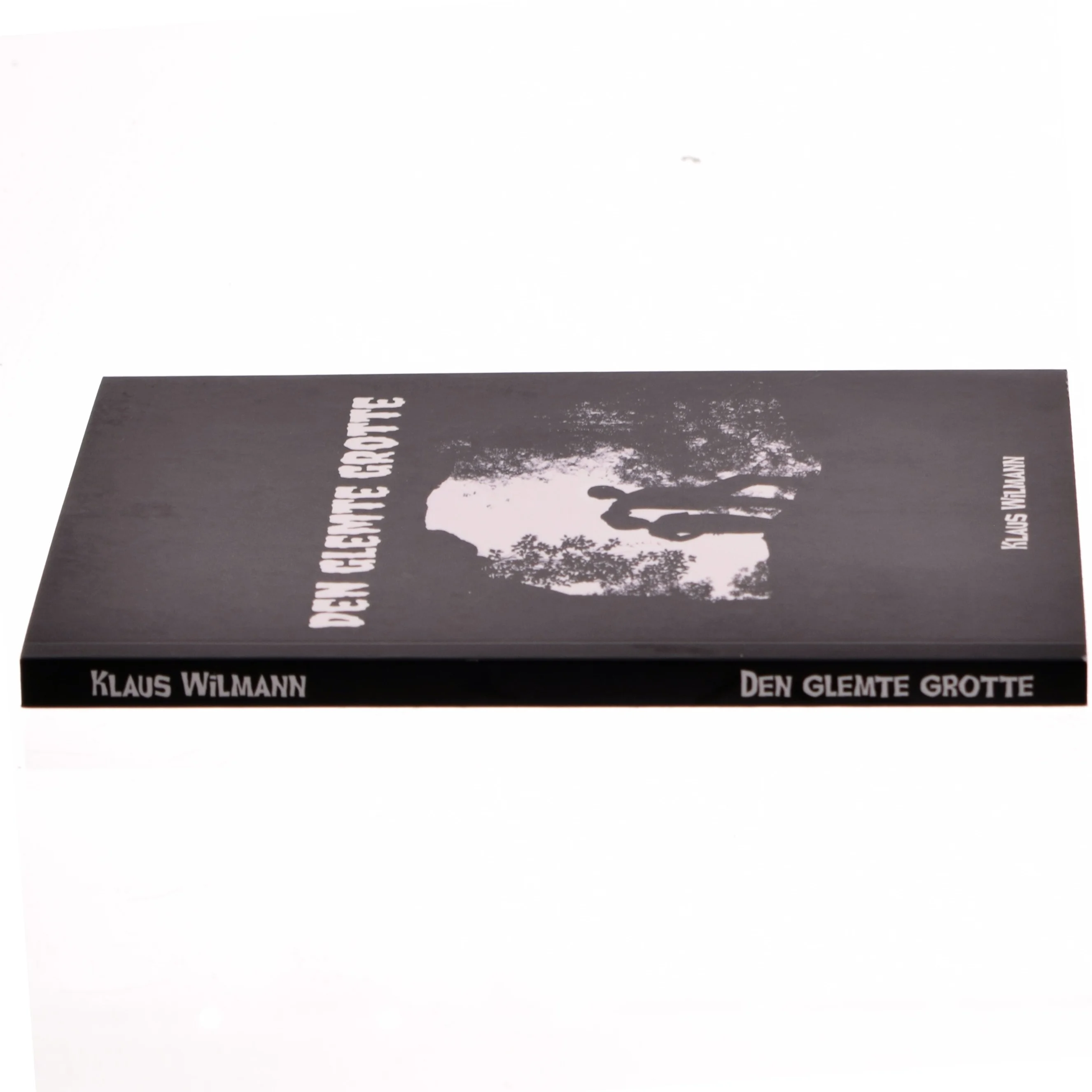 Den glemte grotte af Klaus Wilmann (Bog)