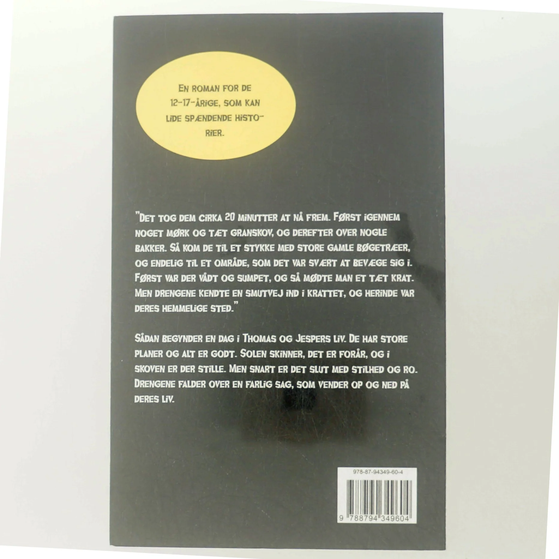 Den glemte grotte af Klaus Wilmann (Bog)