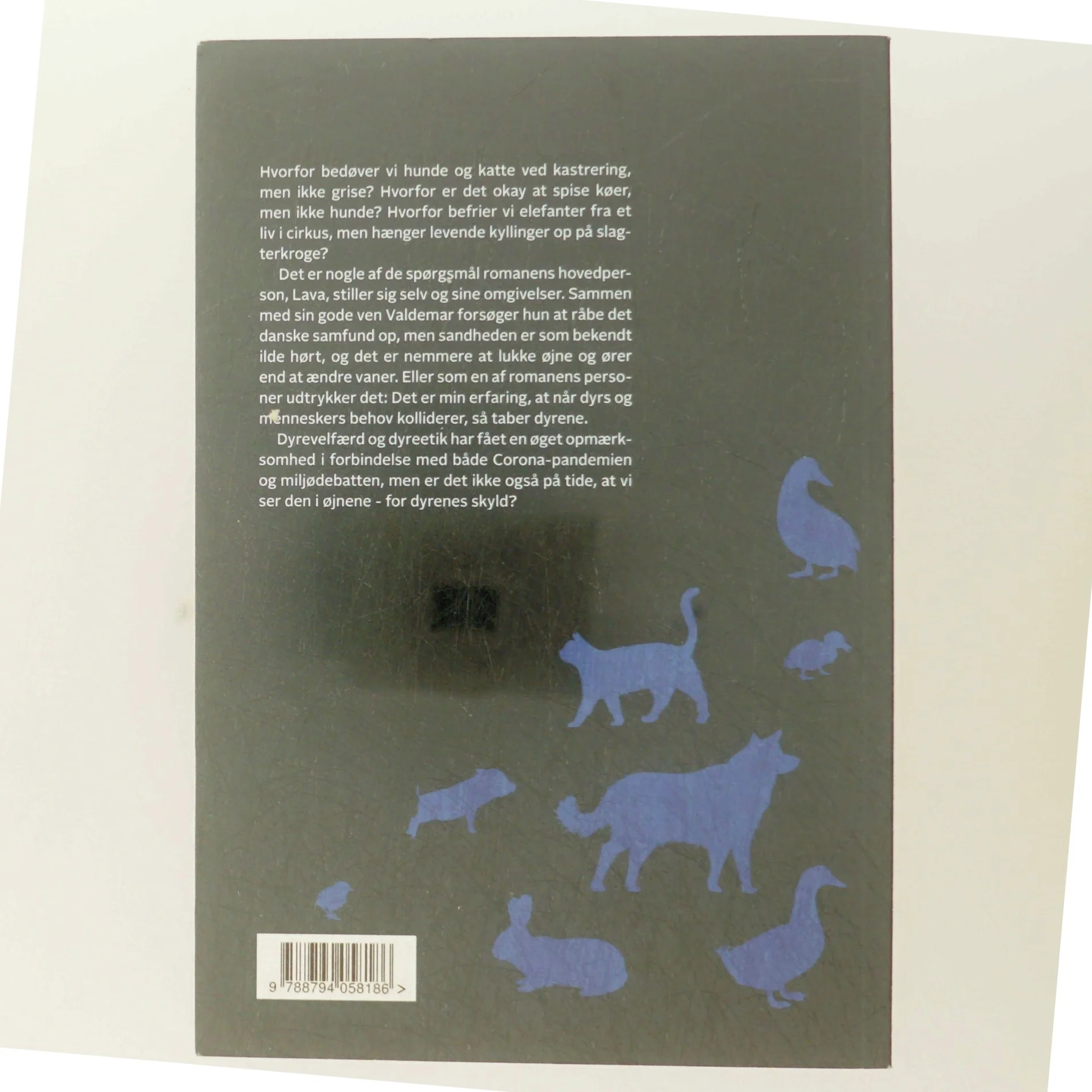 Mit navn er Lava af Anne-Pia Jørgensen (Bog)