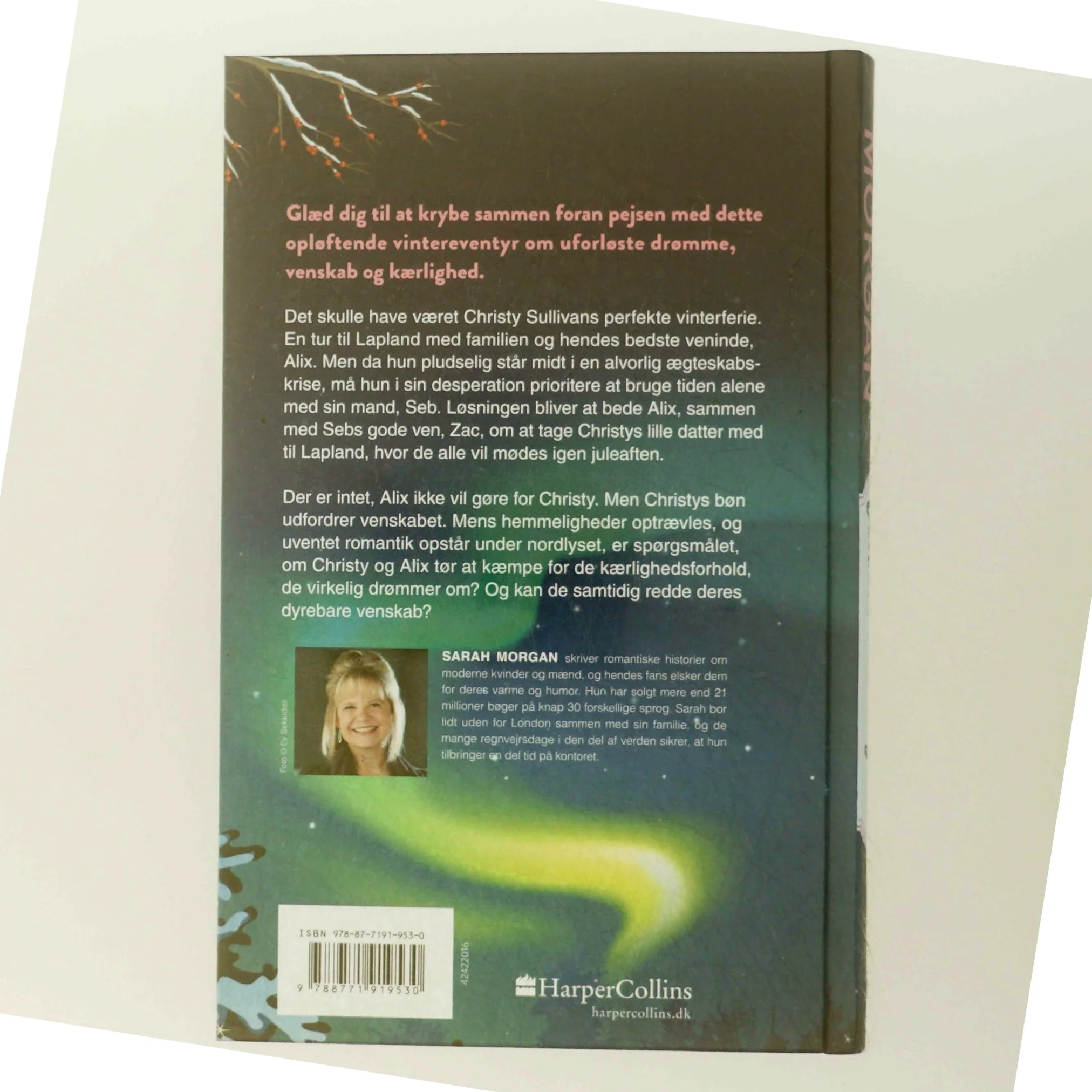 Vintereventyret af Sarah Morgan (f. 1948) (Bog)