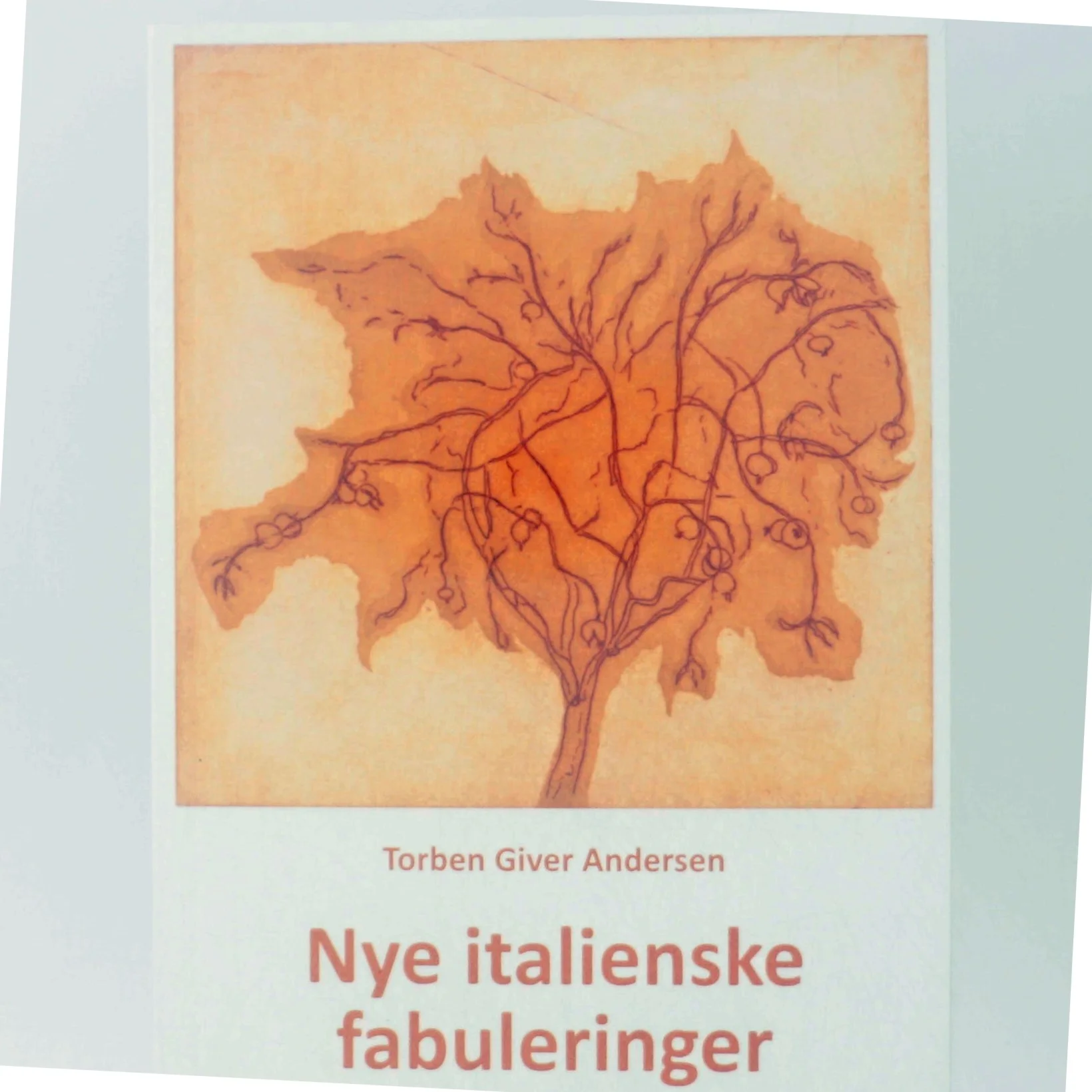 Nye italienske fabuleringer af Torben Giver Andersen (Bog)