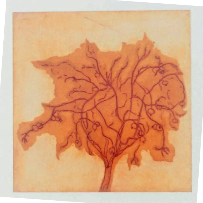 Nye italienske fabuleringer af Torben Giver Andersen (Bog)