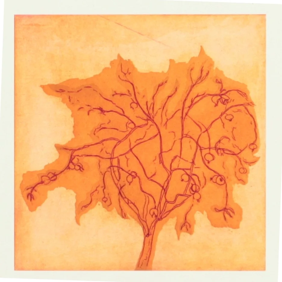 Nye italienske fabuleringer af Torben Giver Andersen (Bog)