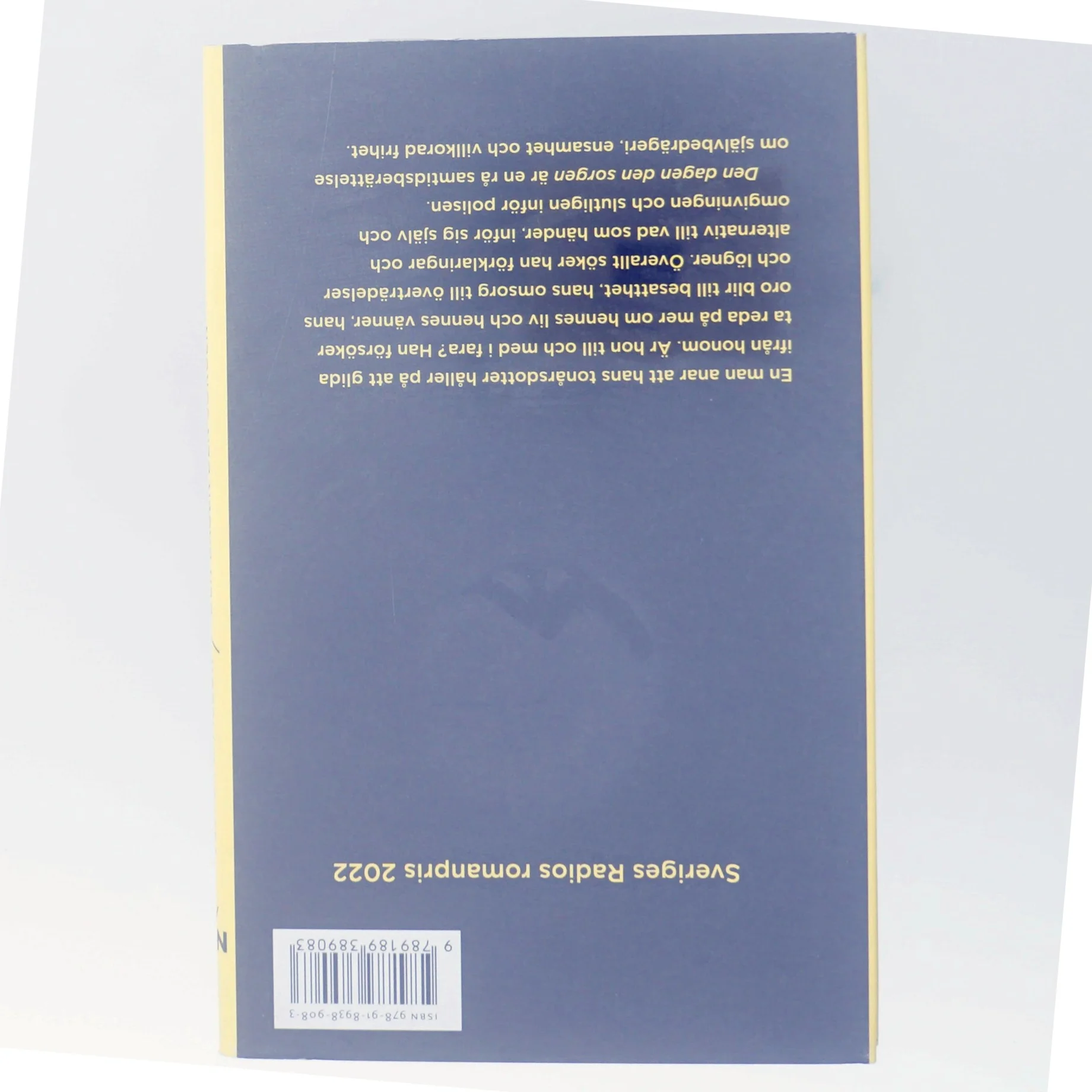 Den dagen den sorgen : roman af Jesper Larsson (f. 1970) (Bog)