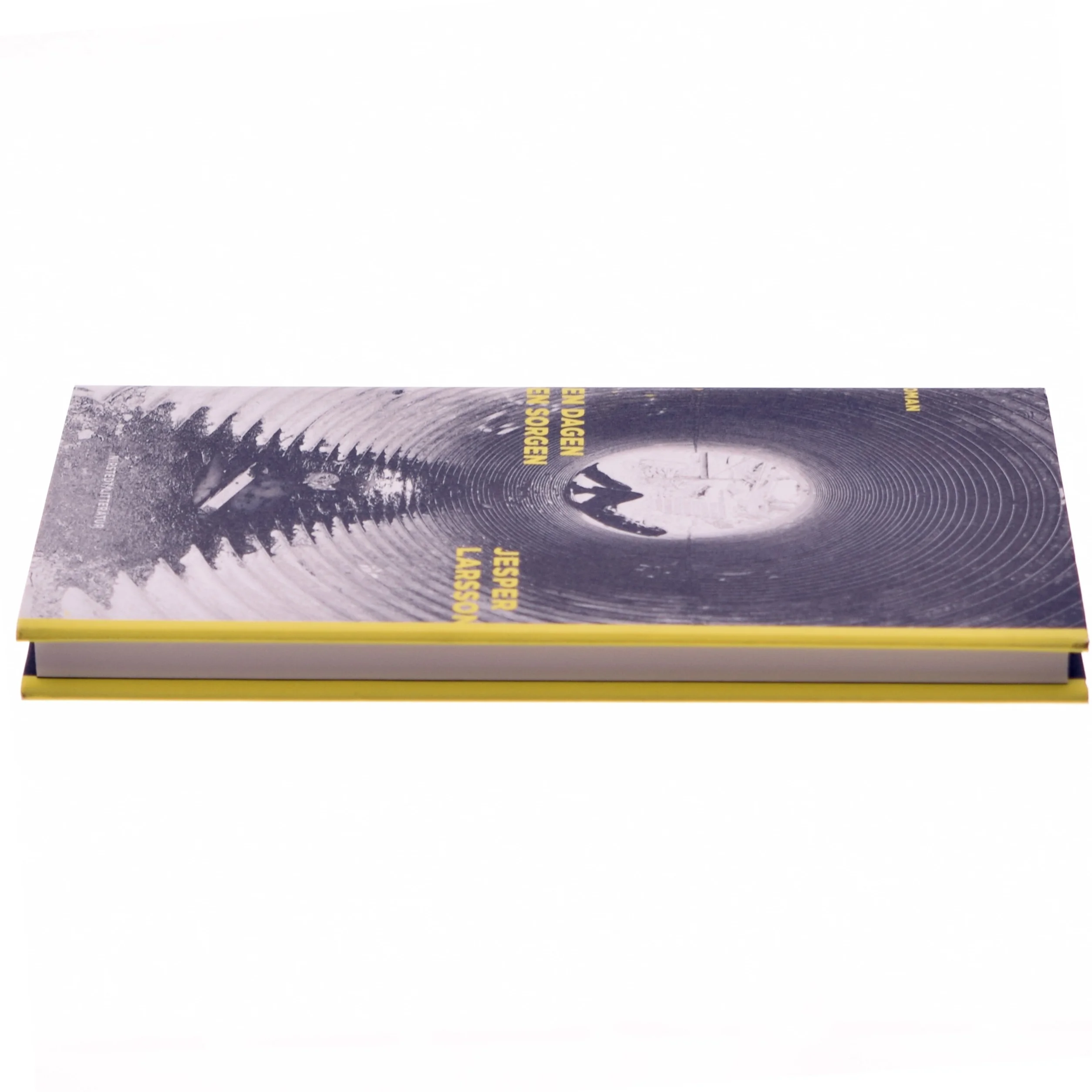 Den dagen den sorgen : roman af Jesper Larsson (f. 1970) (Bog)