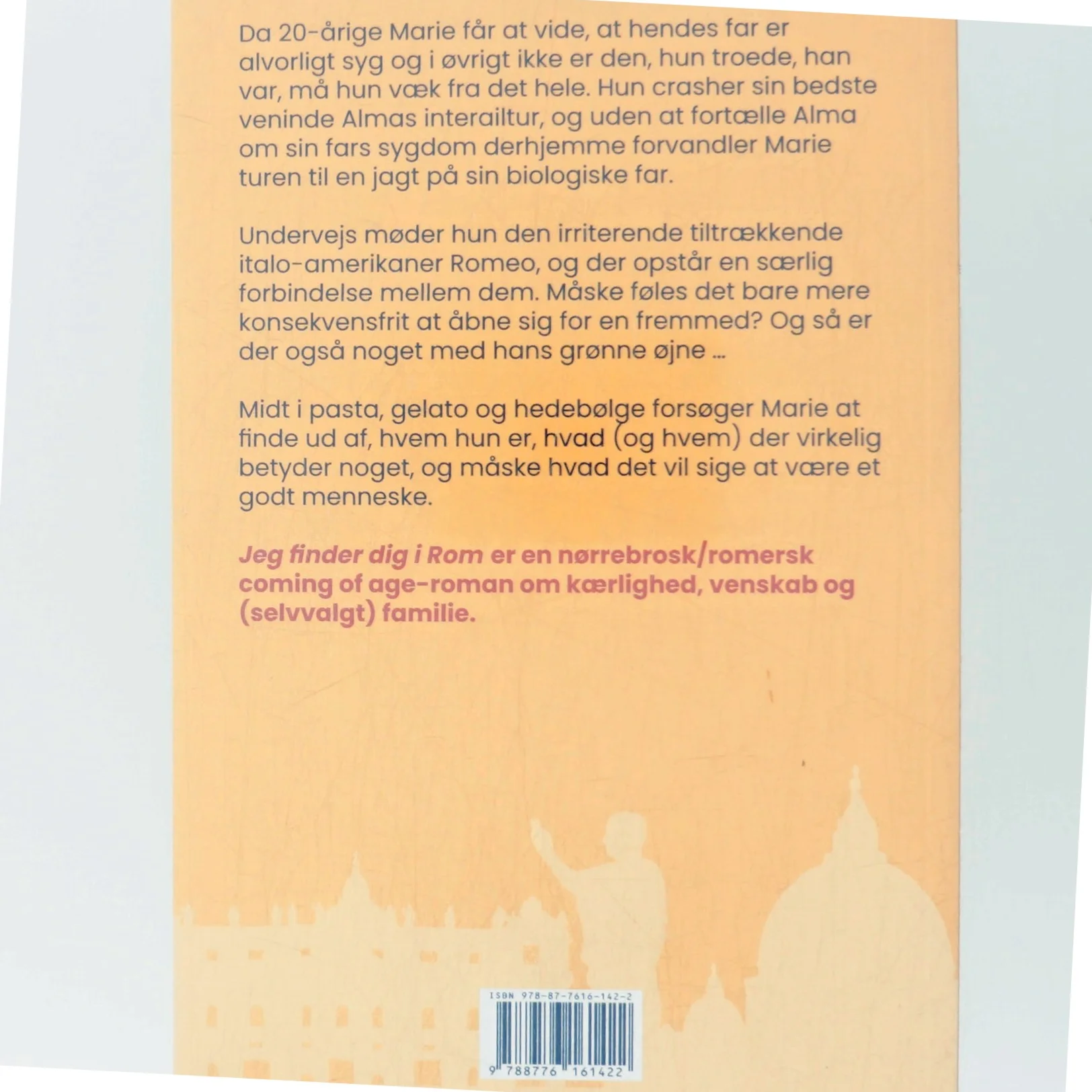 Jeg finder dig i Rom : roman af Klara Witt (Bog)