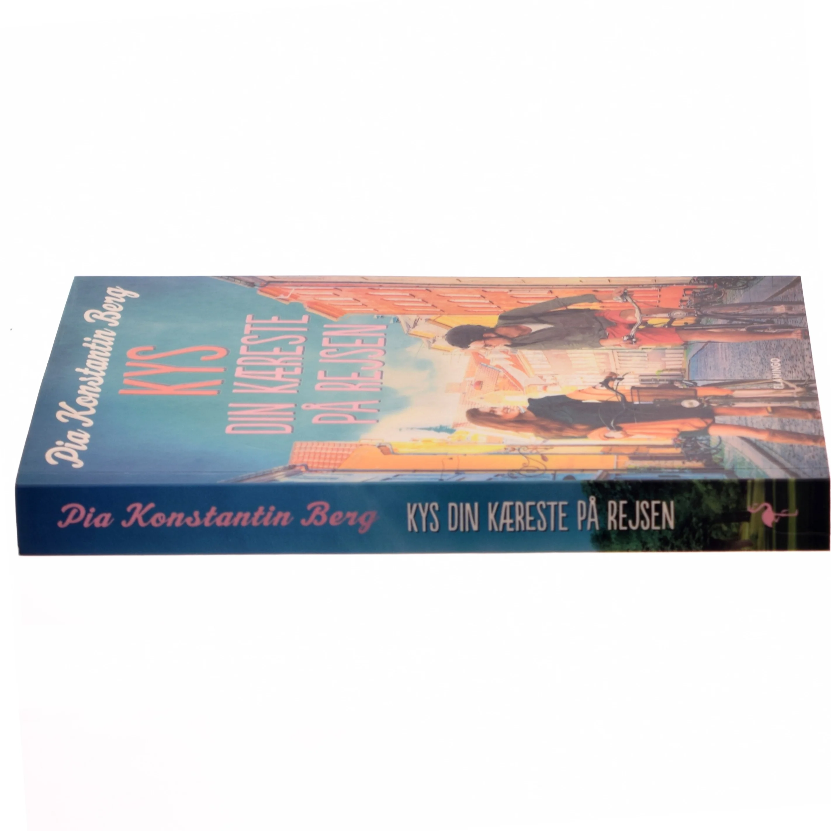 Kys din kæreste på rejsen (Bog)