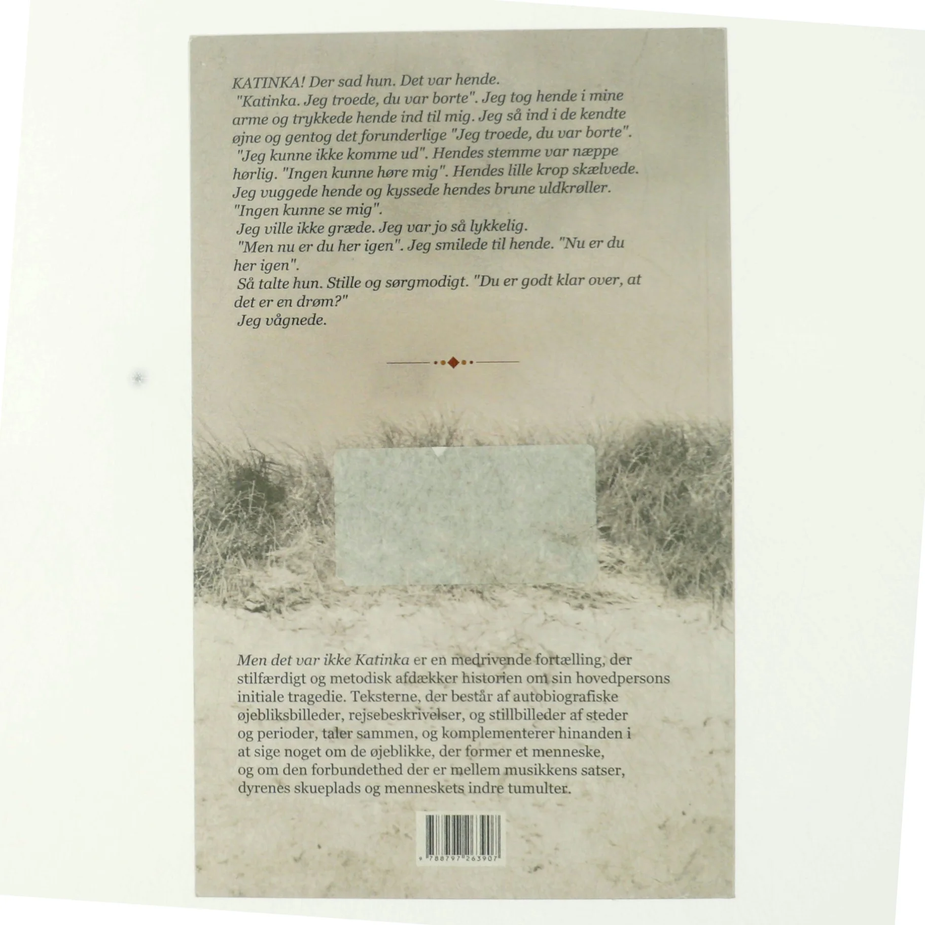 Men det var ikke Katinka : en fortælling af Helga Roesgaard (Bog)