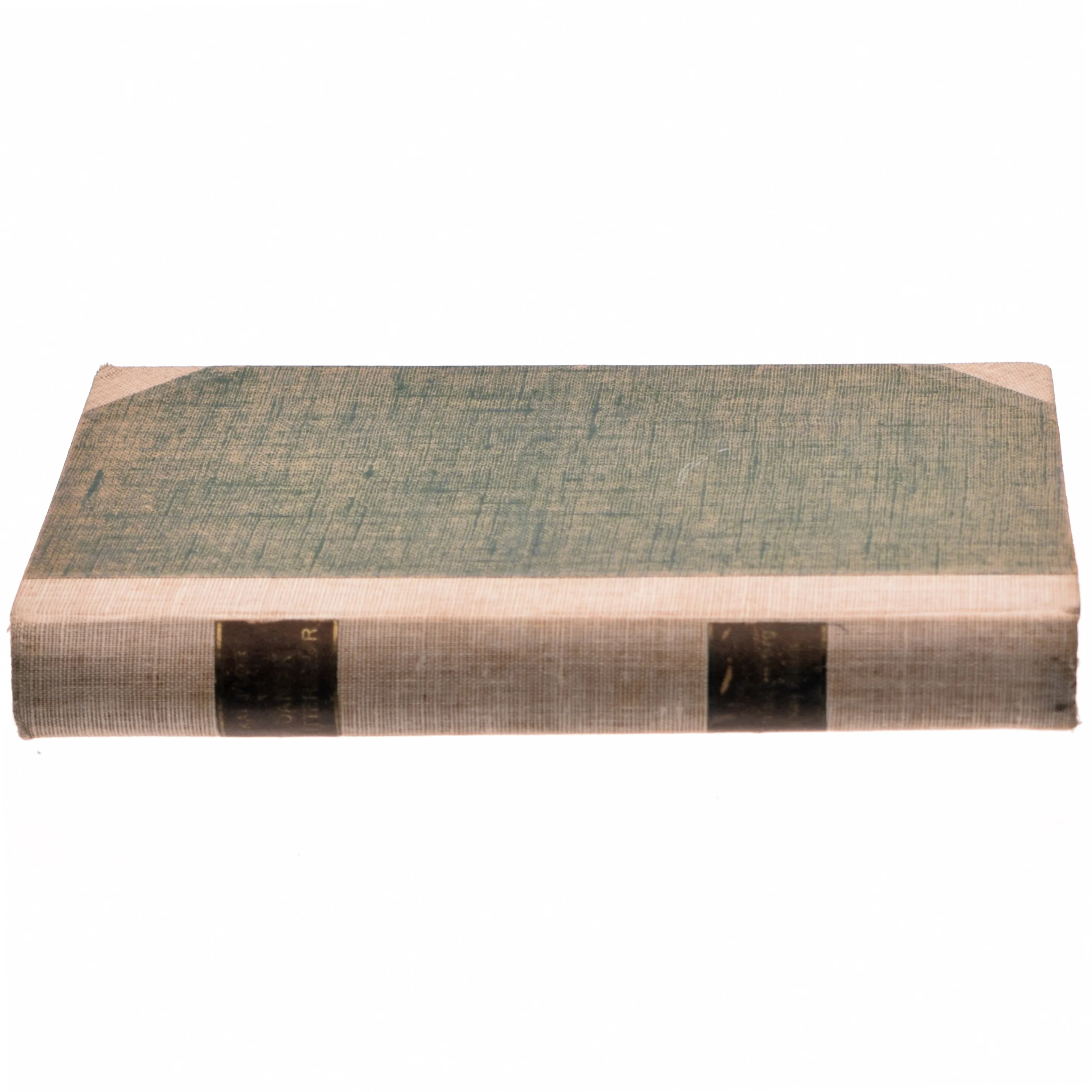 Dansk litteratur af Kai Flor