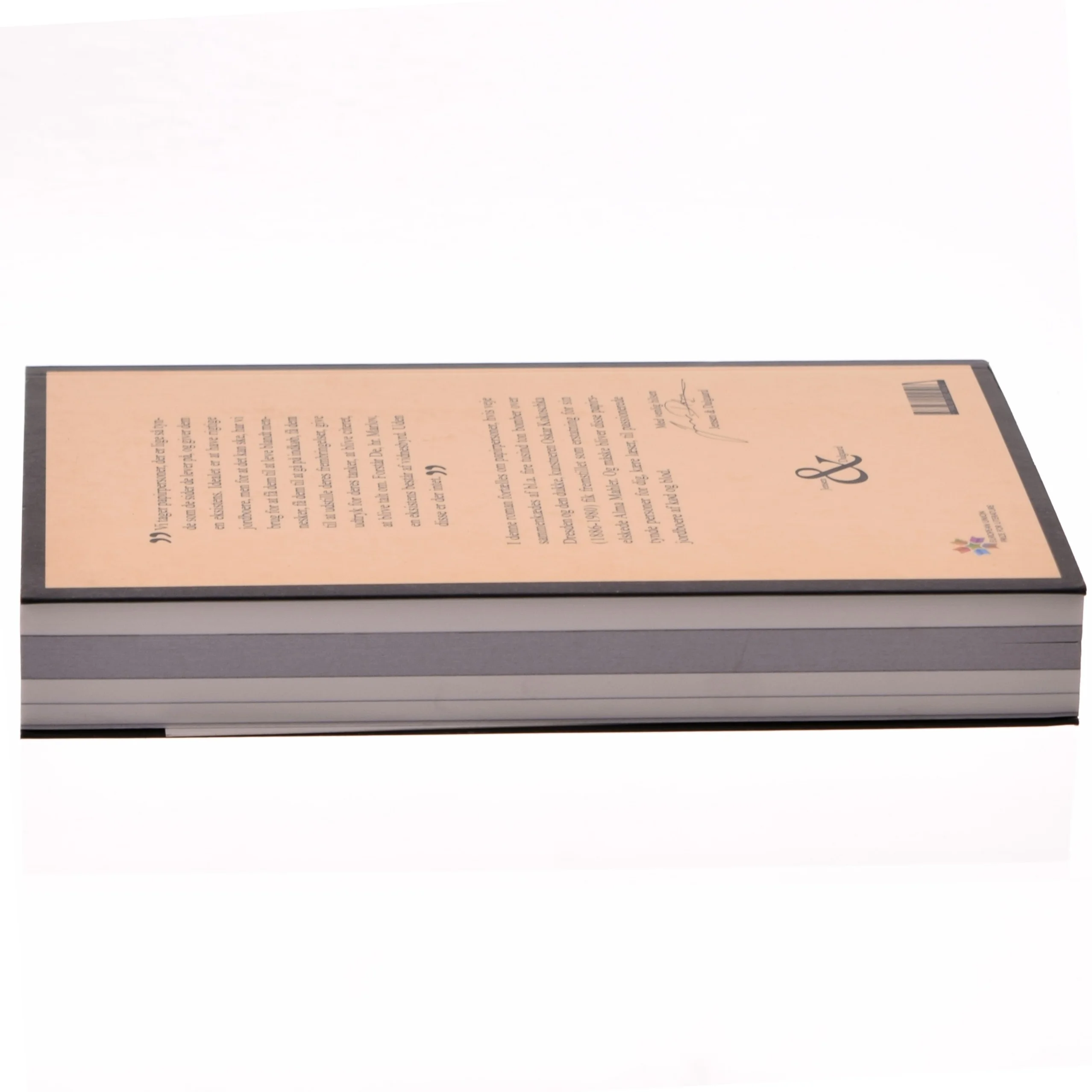 Kokoschkas dukke af Afonso Cruz (f. 1970) (Bog)