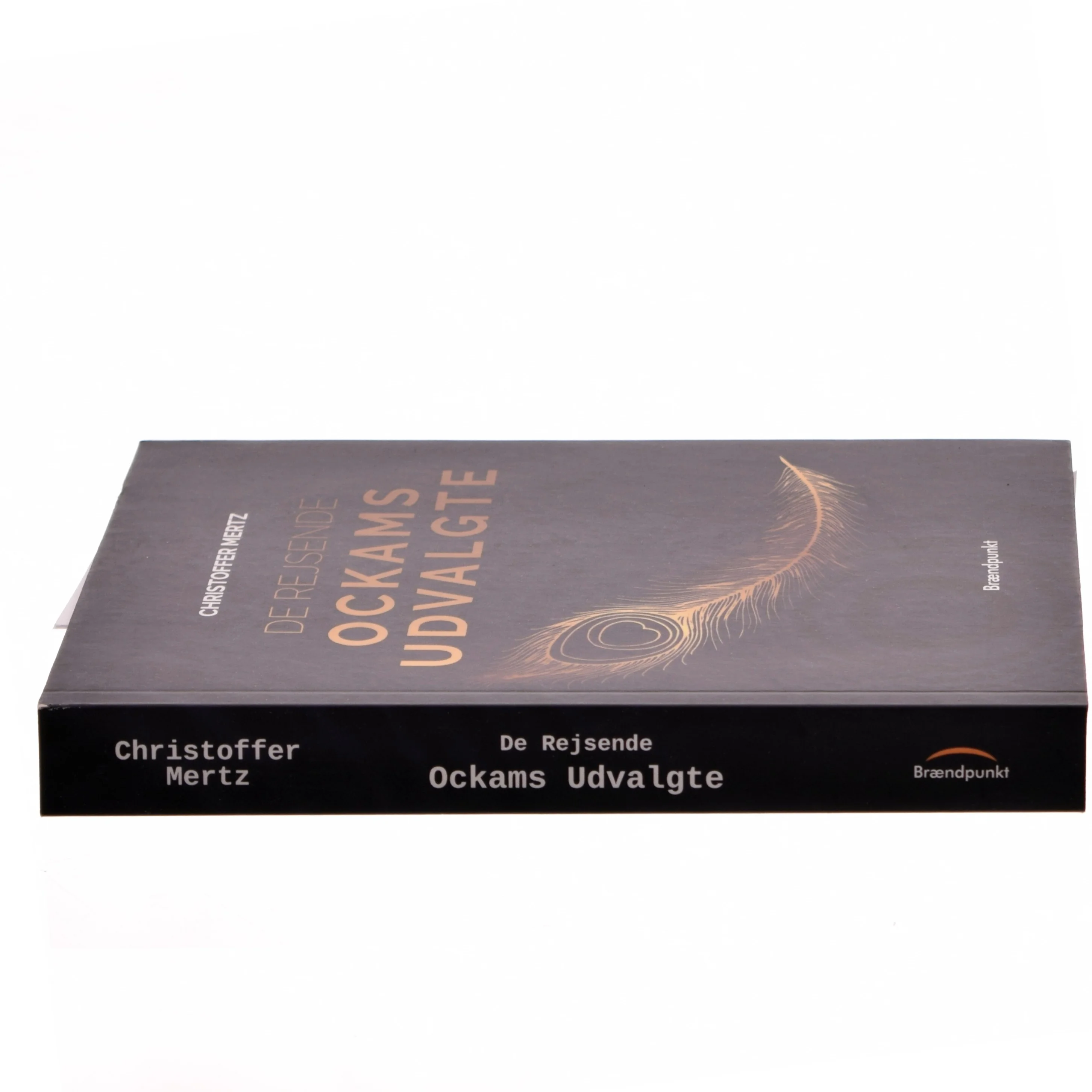 Ockams udvalgte : de rejsende : roman af Christoffer Mertz (f. 1993) (Bog)