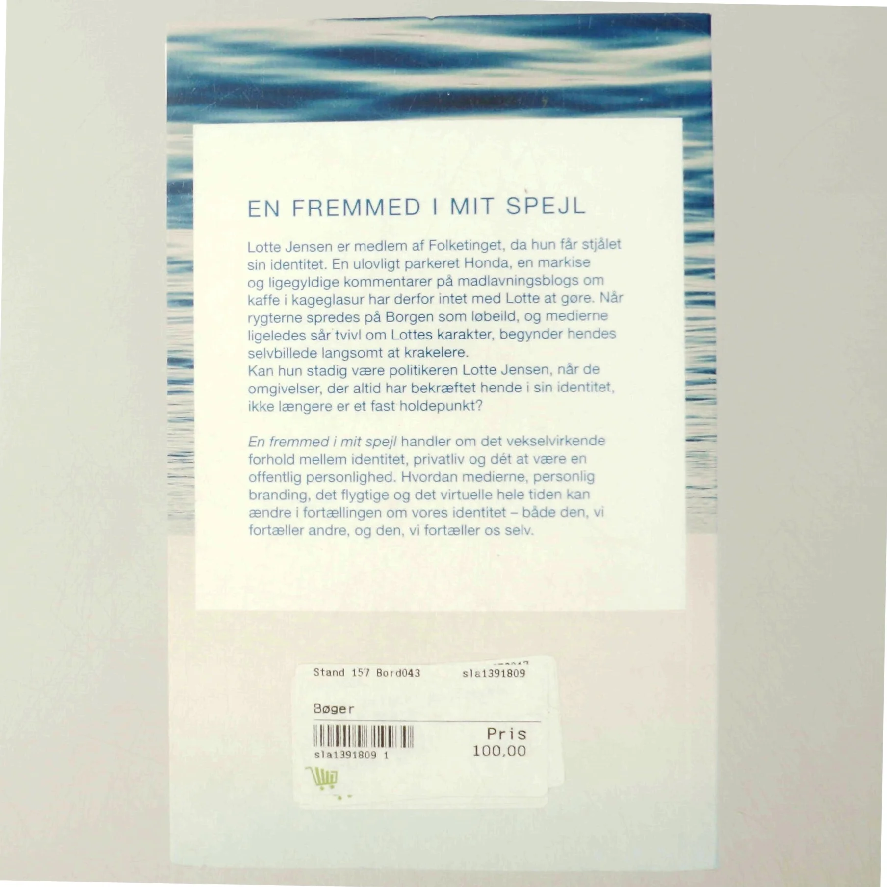 En fremmed i mit spejl af Sandy Brinck (Bog) fra Byens Forlag