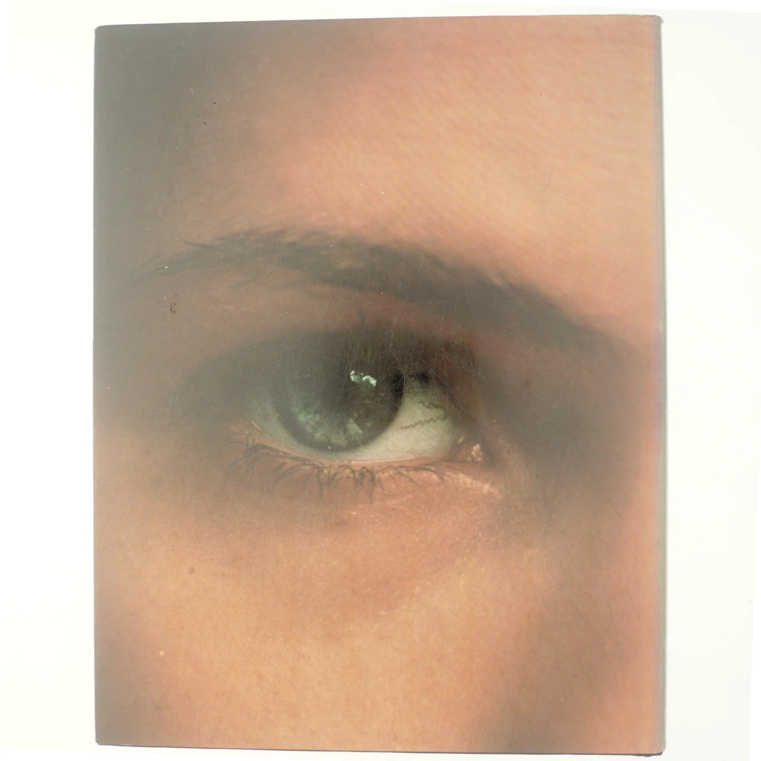 Menneskers adfærd af Desmond Morris (Bog) fra Gyldendal